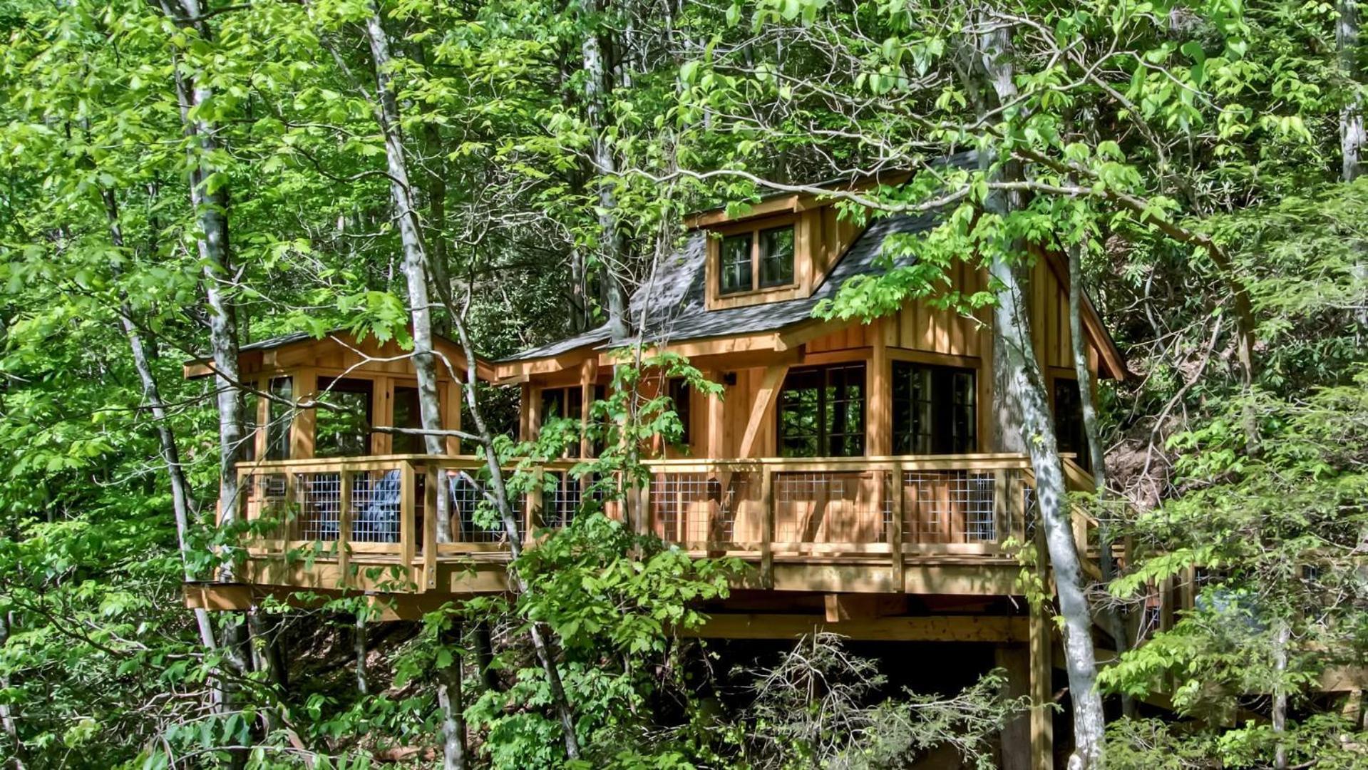 The Dogwood In Treehouse Grove At Norton Creek