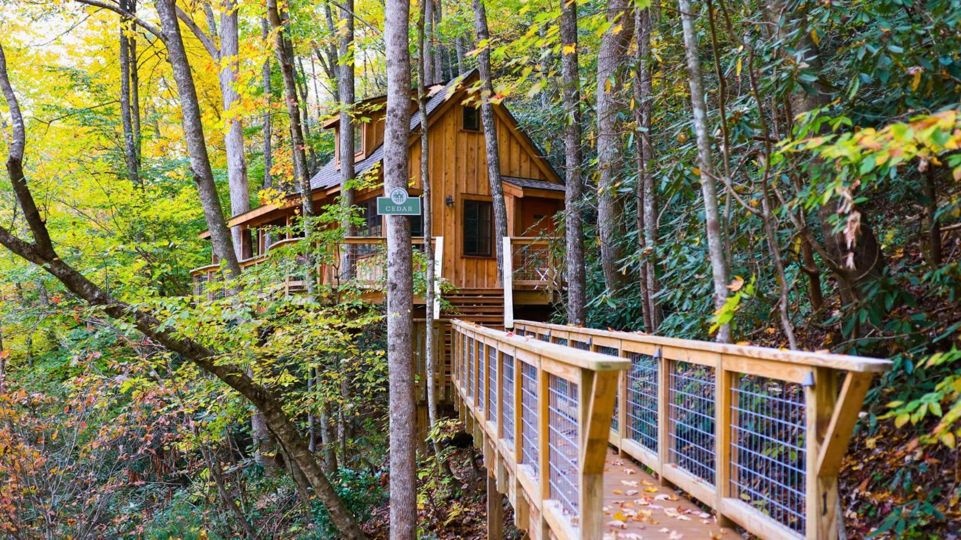 The Cedar In Treehouse Grove At Norton Creek Holiday home