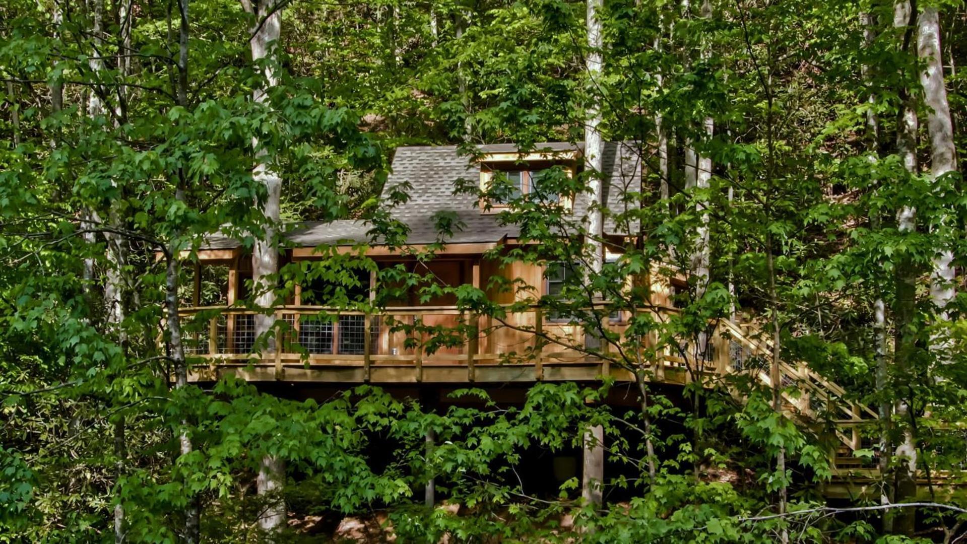The Cedar In Treehouse Grove At Norton Creek Gatlinburg
