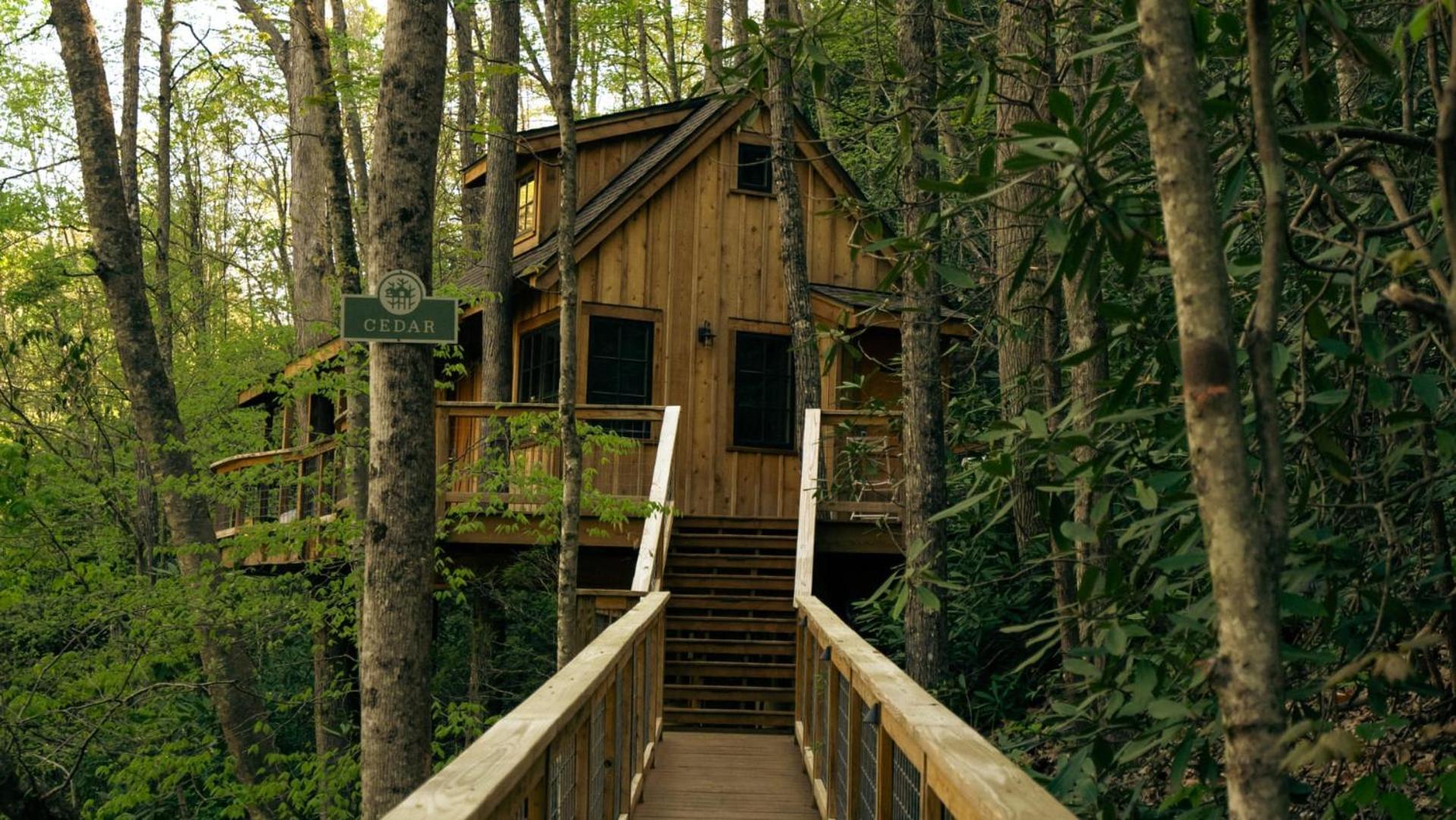The Cedar In Treehouse Grove At Norton Creek Holiday home