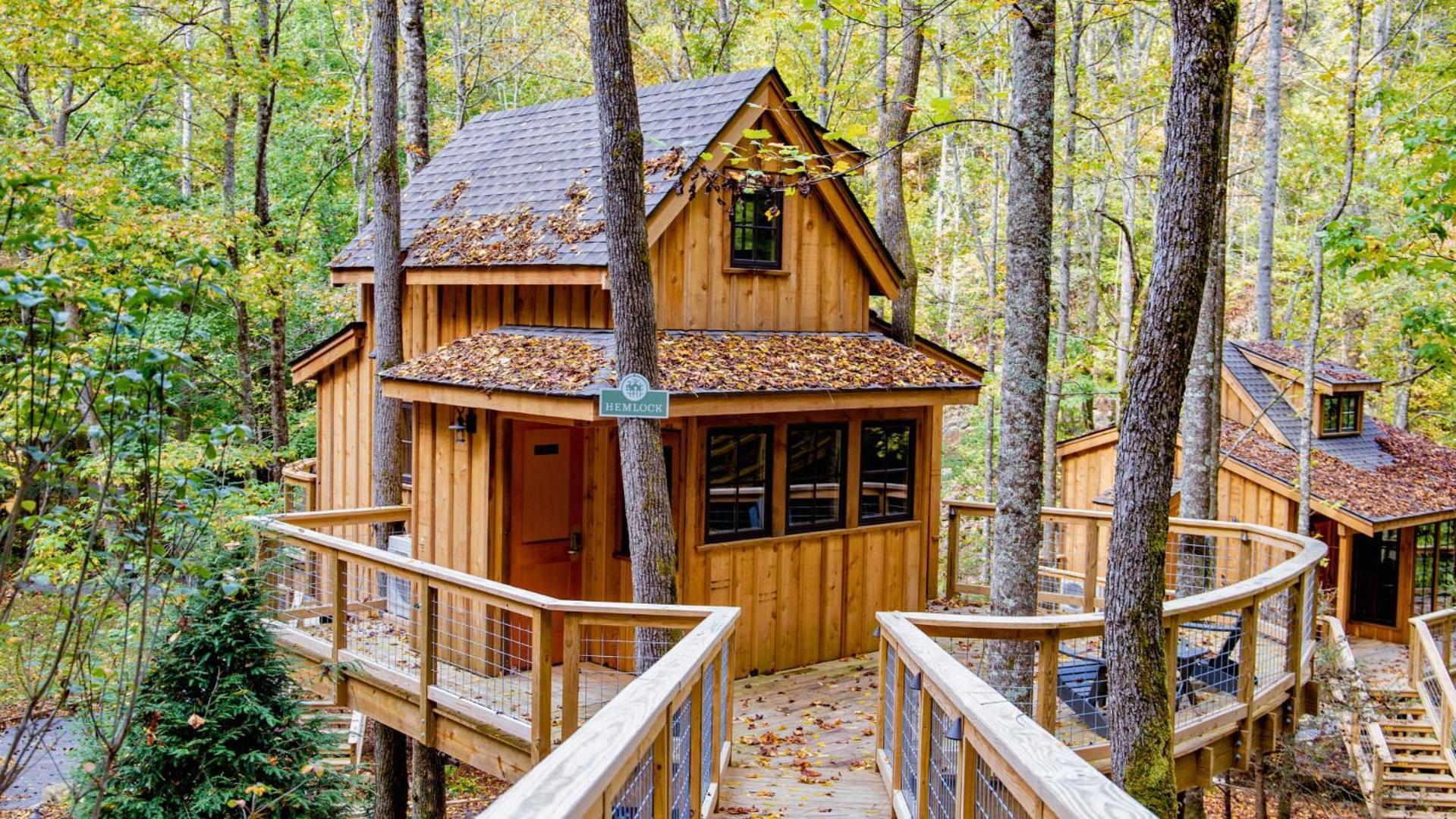 The Hemlock In Treehouse Grove At Norton Creek