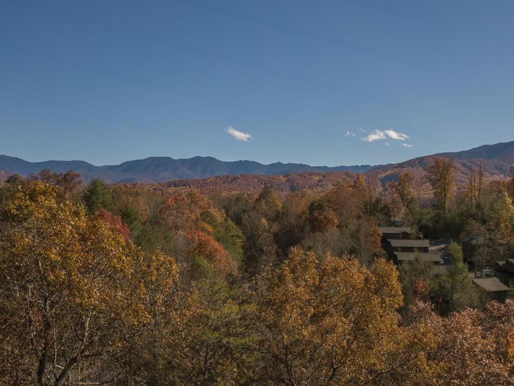 Sasquatch E Sleeps 13 Holiday home Gatlinburg
