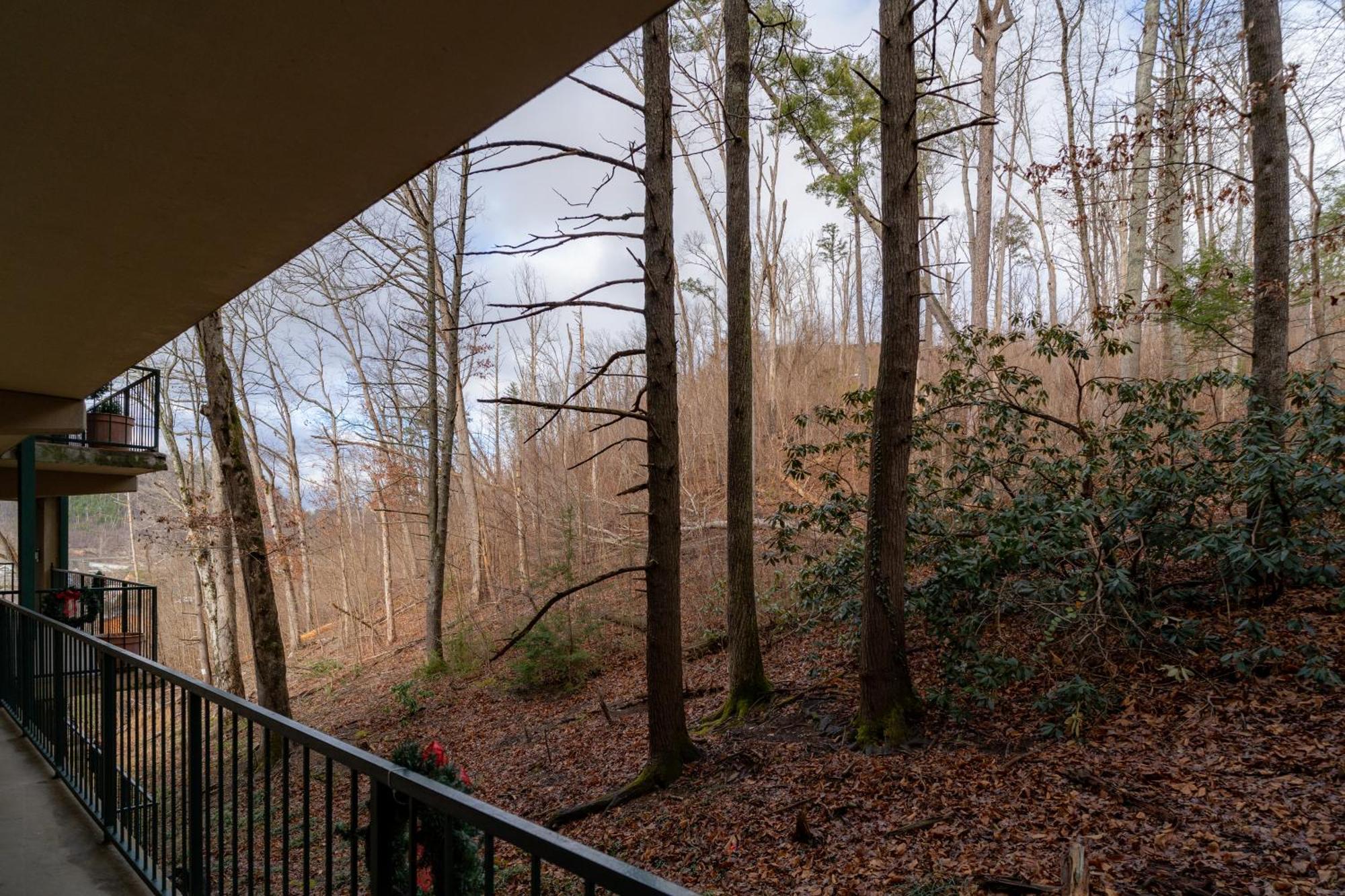 In Very Peaceful - 10 Min Walk To Main Strip Gatlinburg