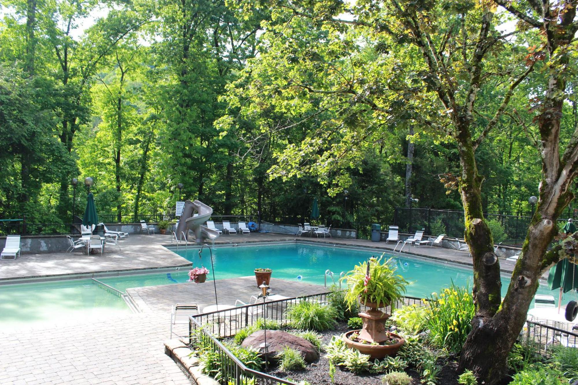 Heavenly View - Bear Themed Cabin, Hottub, Dog-friendly, Near Chalet Gatlinburg