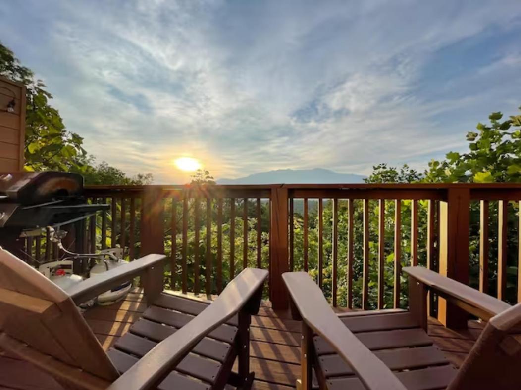Heavenly View - Bear Themed Cabin, Hottub, Dog-friendly, Near Chalet *