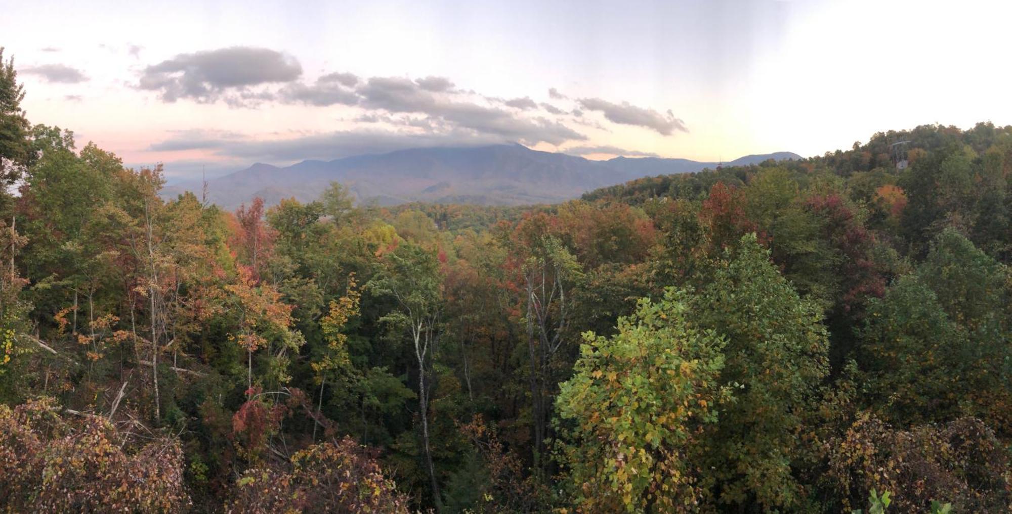 Chalet Heavenly View - Bear Themed Cabin, Hottub, Dog-friendly, Near Gatlinburg
