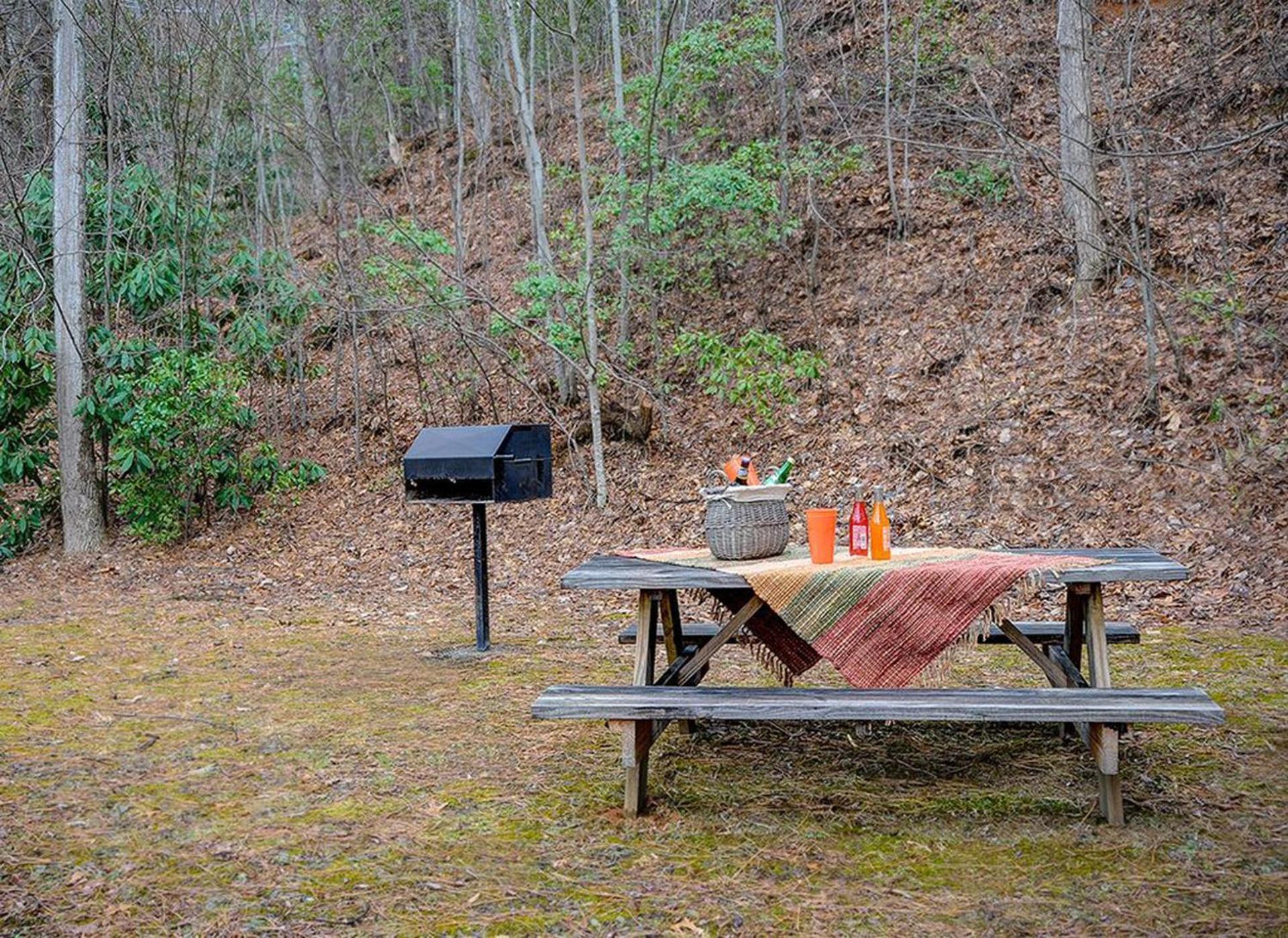 Beautiful Mountain Views And Privacy. Minutes To Downtown And National Park Chalet *