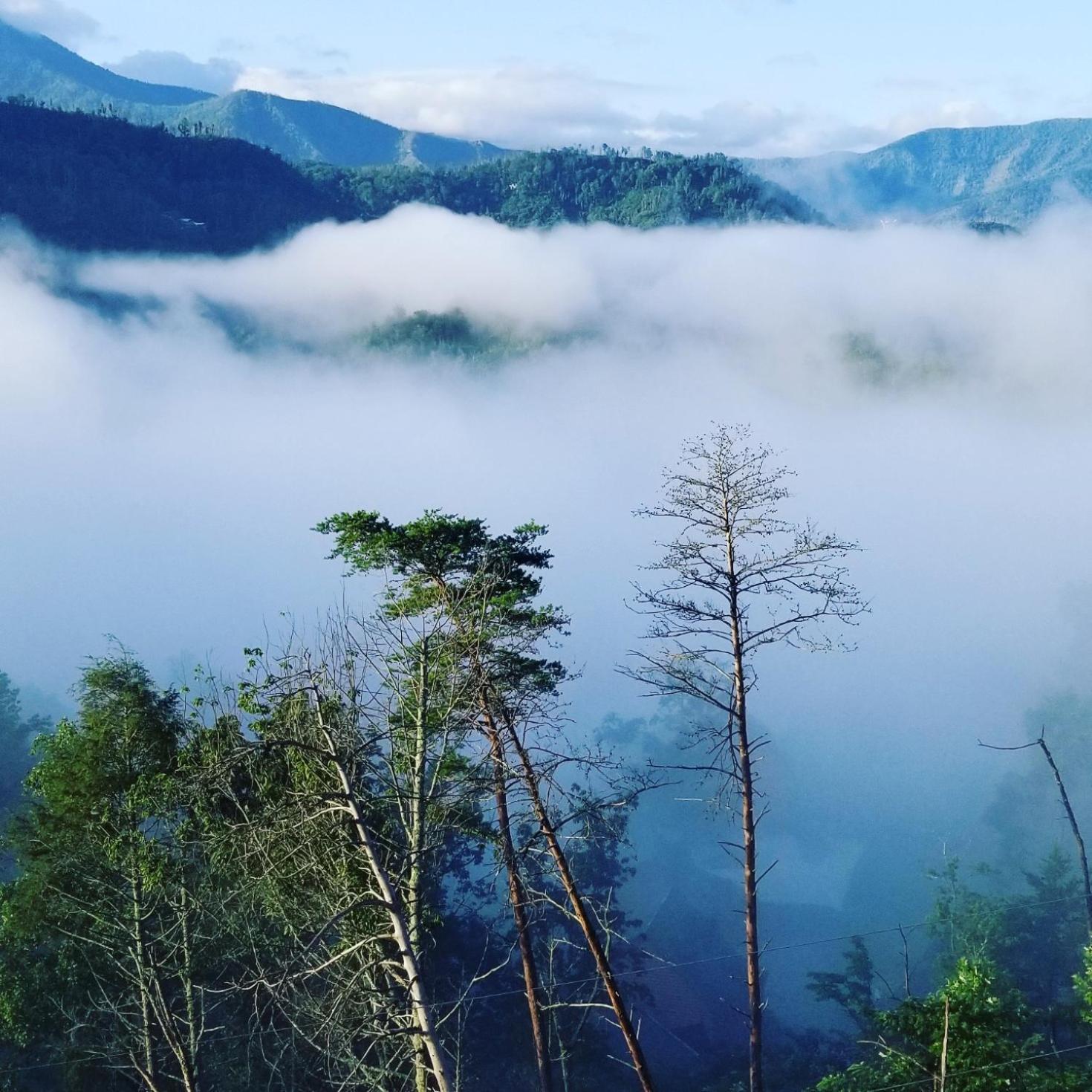 Mountain Haven - Relax & Enjoy Amazing 180 Degree Views Of Mt Leconte
