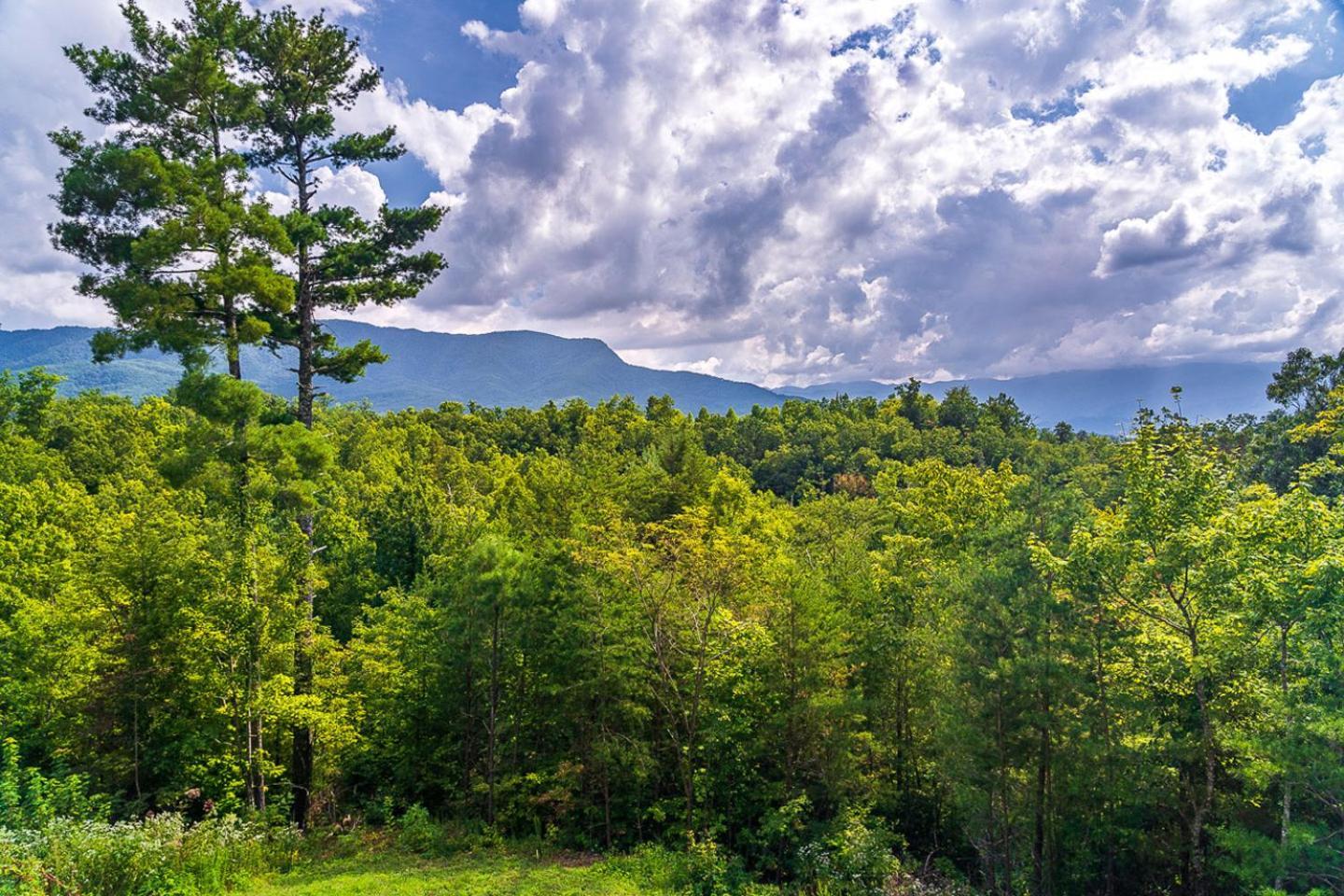 Big Bear Ridge Lodge: Mountain View Log Retreat Gatlinburg