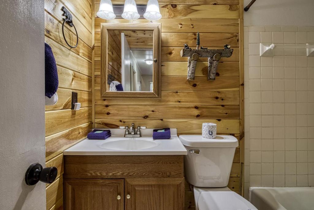 Four Bears Den, Hot Tub, 1089 Of Free Attraction Tickets For Each Paid Day, Dollywood And Gatlinburg