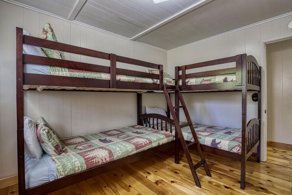 Four Bears Den, Hot Tub, 1089 Of Free Attraction Tickets For Each Paid Day, Dollywood And