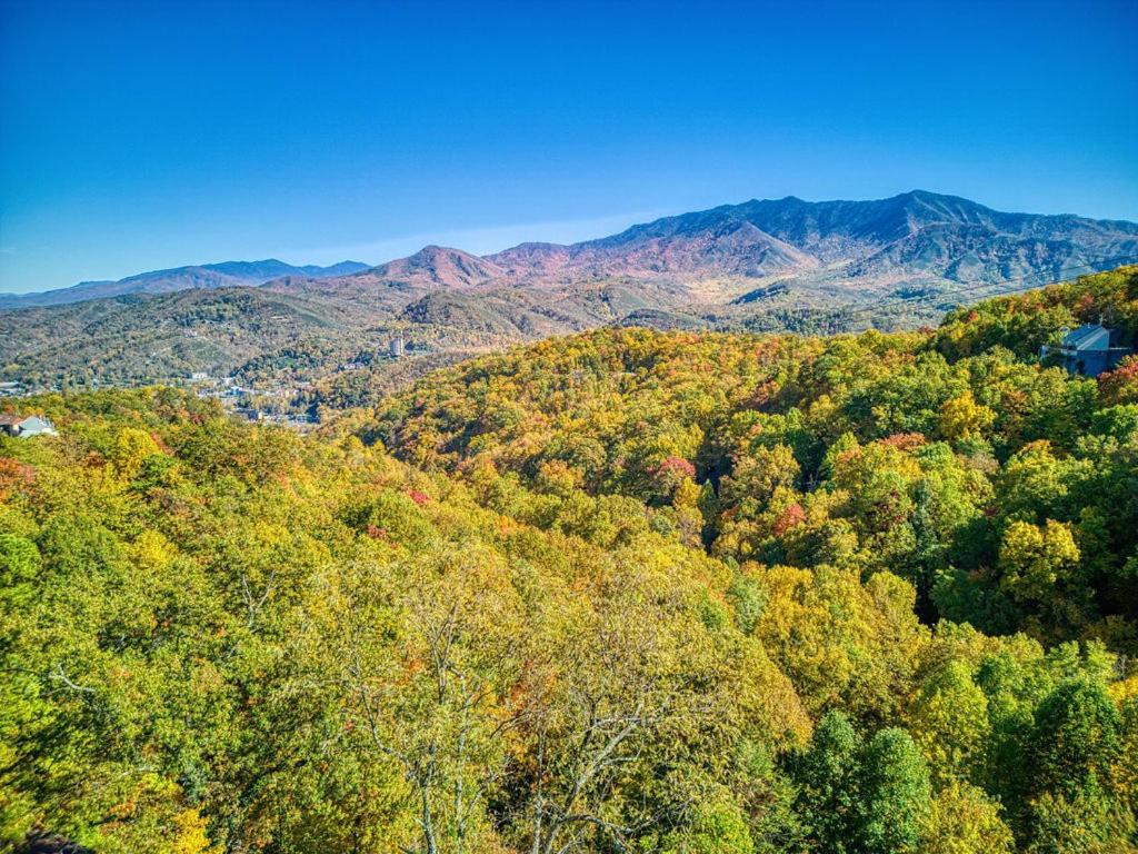 Four Bears Den, Hot Tub, 1089 Of Free Attraction Tickets For Each Paid Day, Dollywood And * Gatlinburg