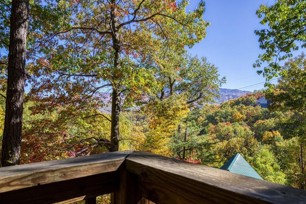 Four Bears Den, Hot Tub, 1089 Of Free Attraction Tickets For Each Paid Day, Dollywood And Chalet