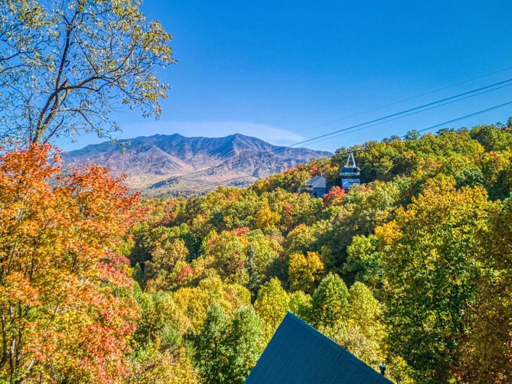 Four Bears Den, Hot Tub, 1089 Of Free Attraction Tickets For Each Paid Day, Dollywood And