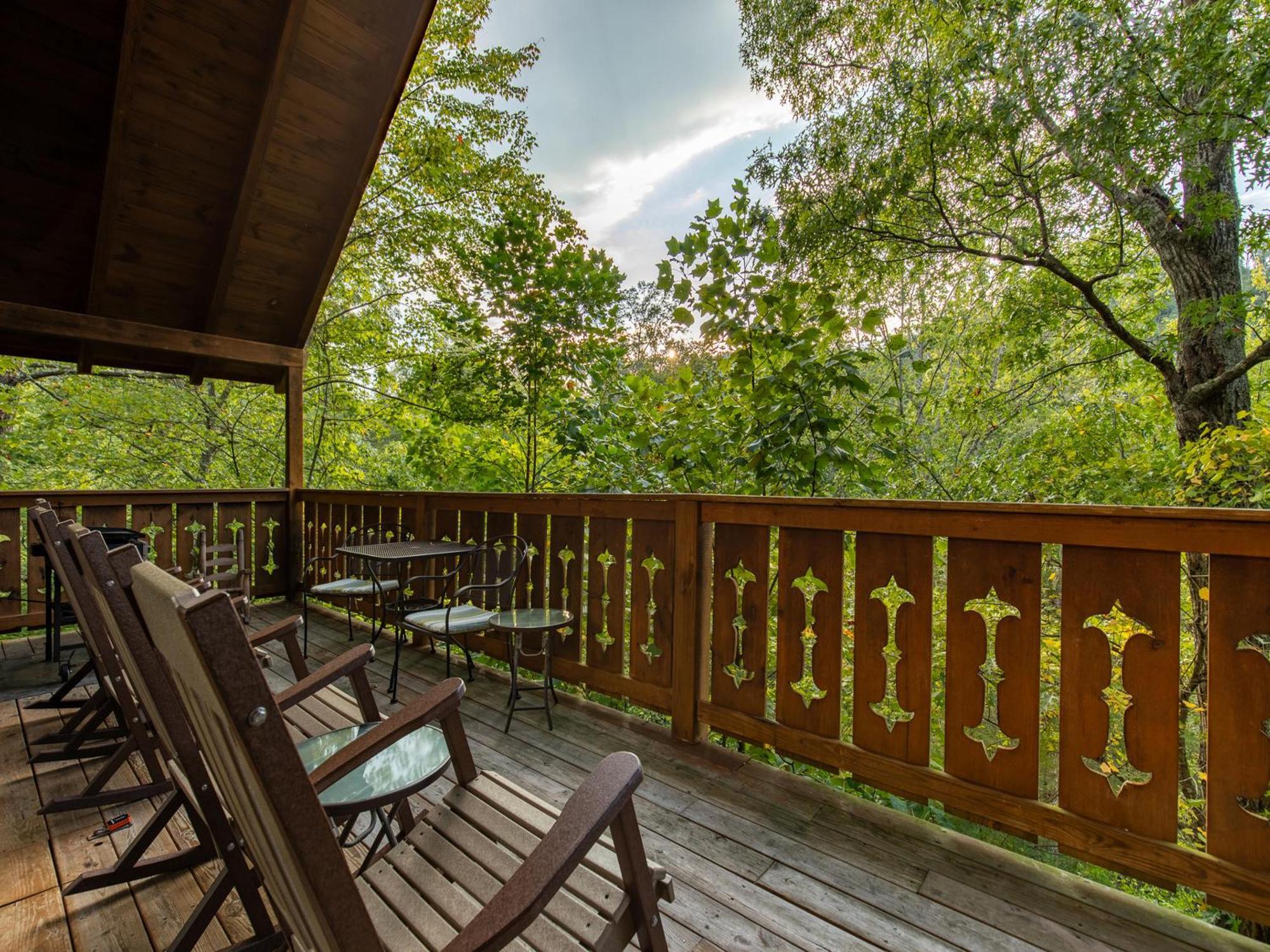 Bear Necessities * Gatlinburg