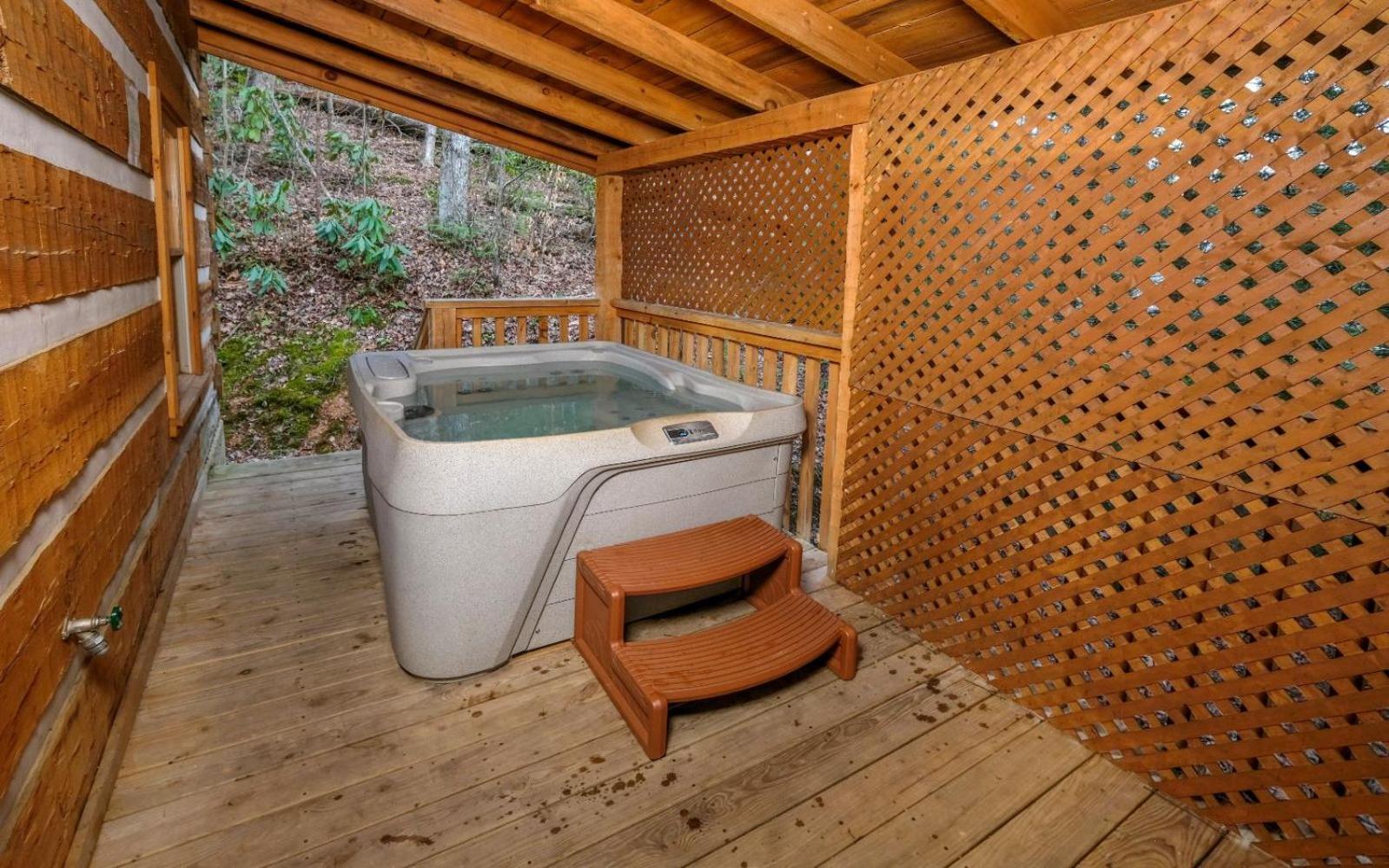 Viva La Vino Villa Gatlinburg