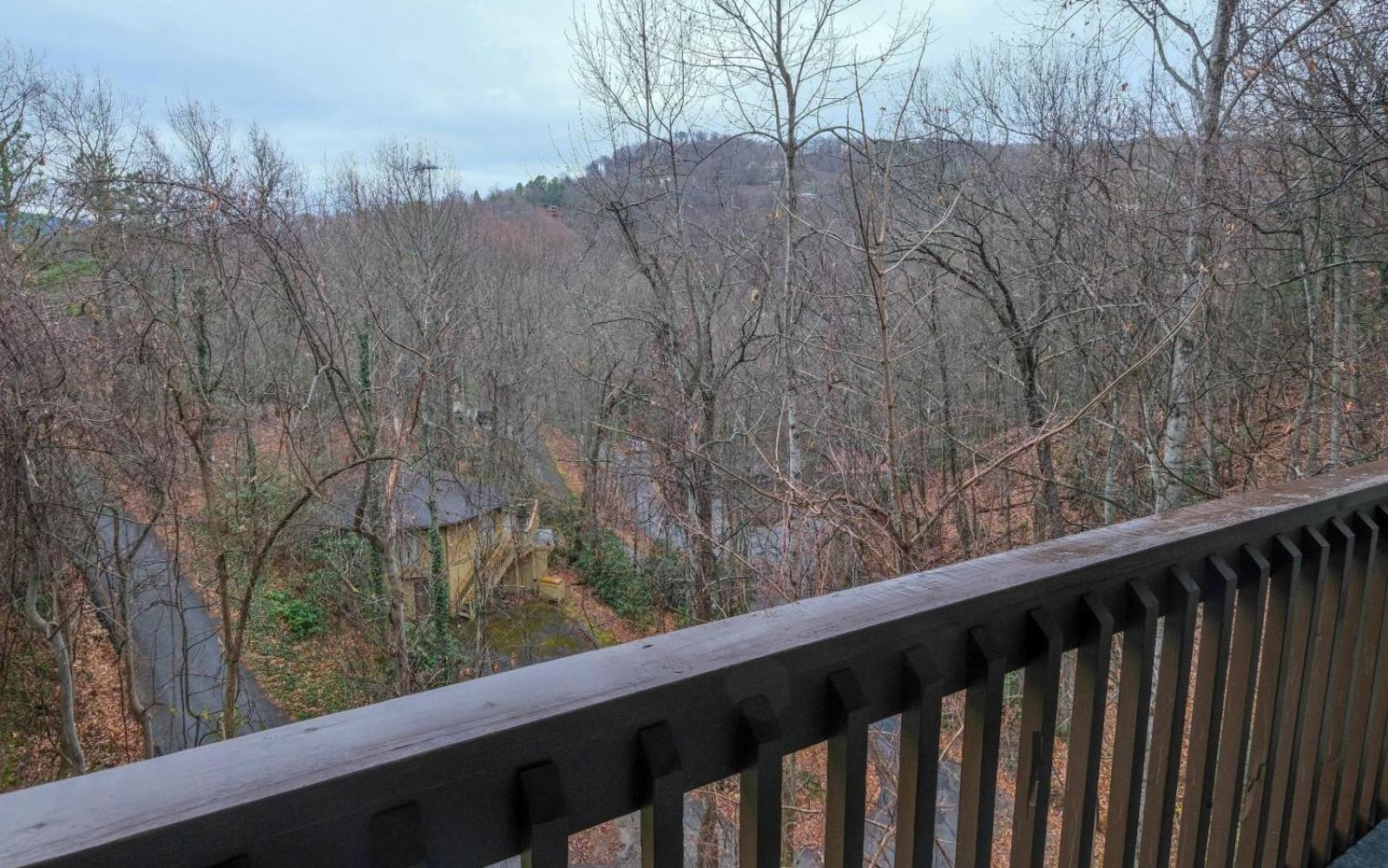Bearly Behavin Gatlinburg