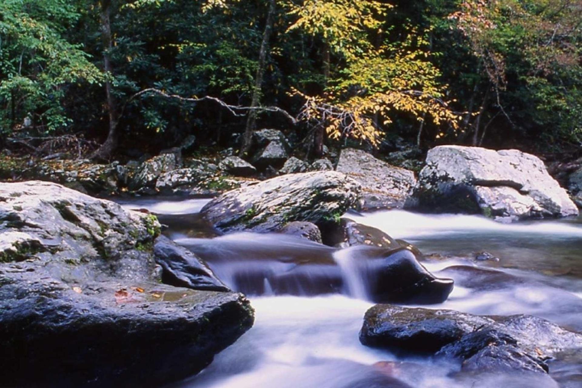 Holiday home View #208 Gatlinburg