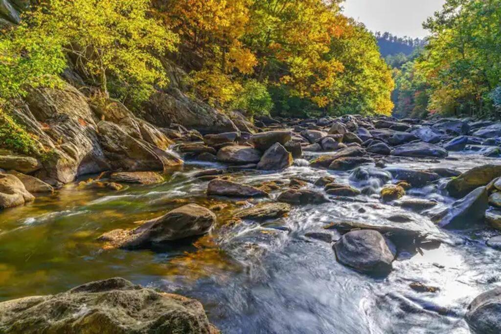 Breathtaking Views Of The Smokies, 3 Mins To Holiday home *