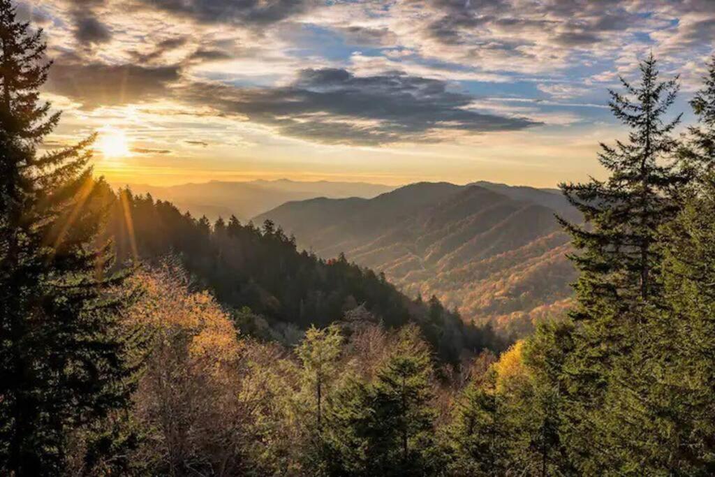 Breathtaking Views Of The Smokies, 3 Mins To *