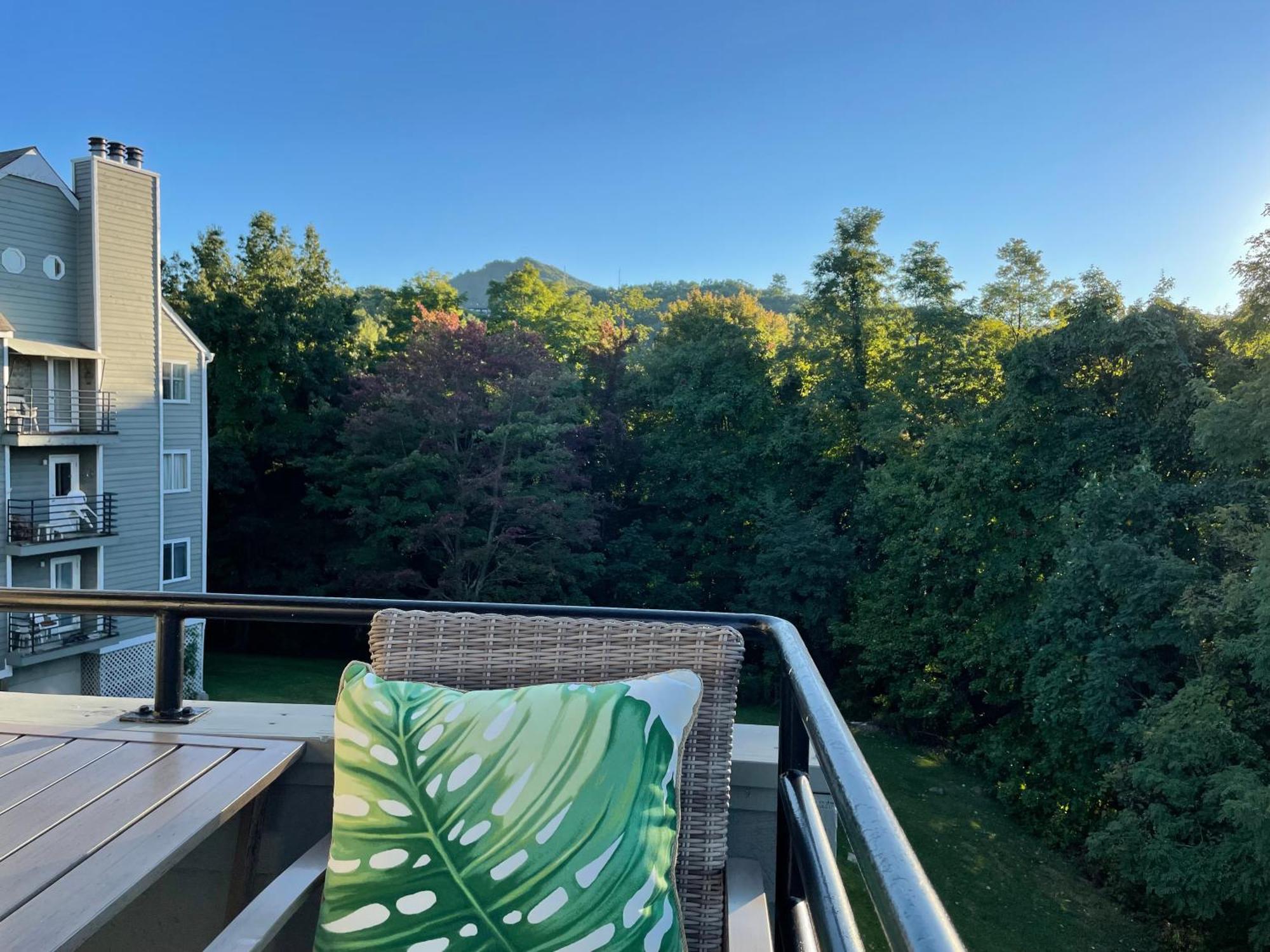 Summit Getaway For 2 With Amazing View! Apartment