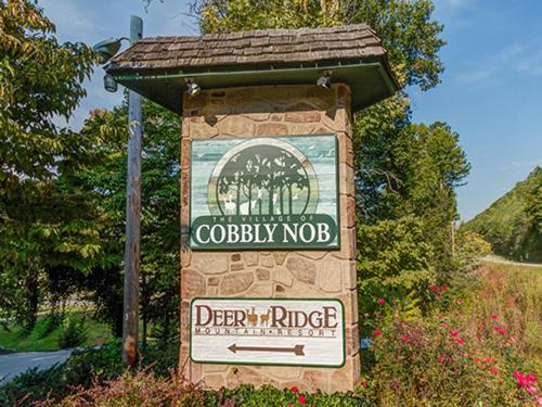 Deer Ridge Mountain D301