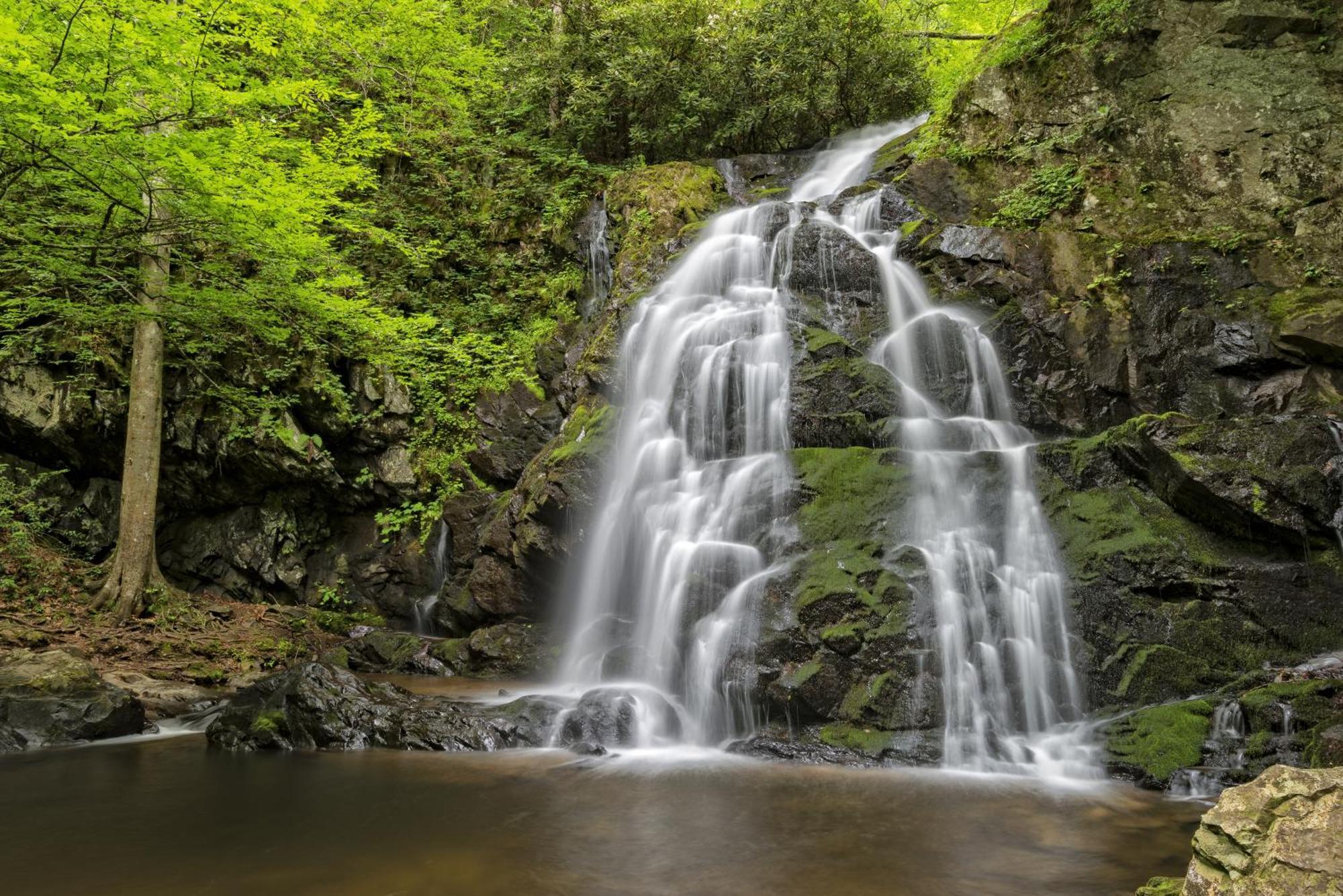 Maple Trails, Wifi, 1089 Free Tickets Each Paid Day, Dollywood And Gatlinburg