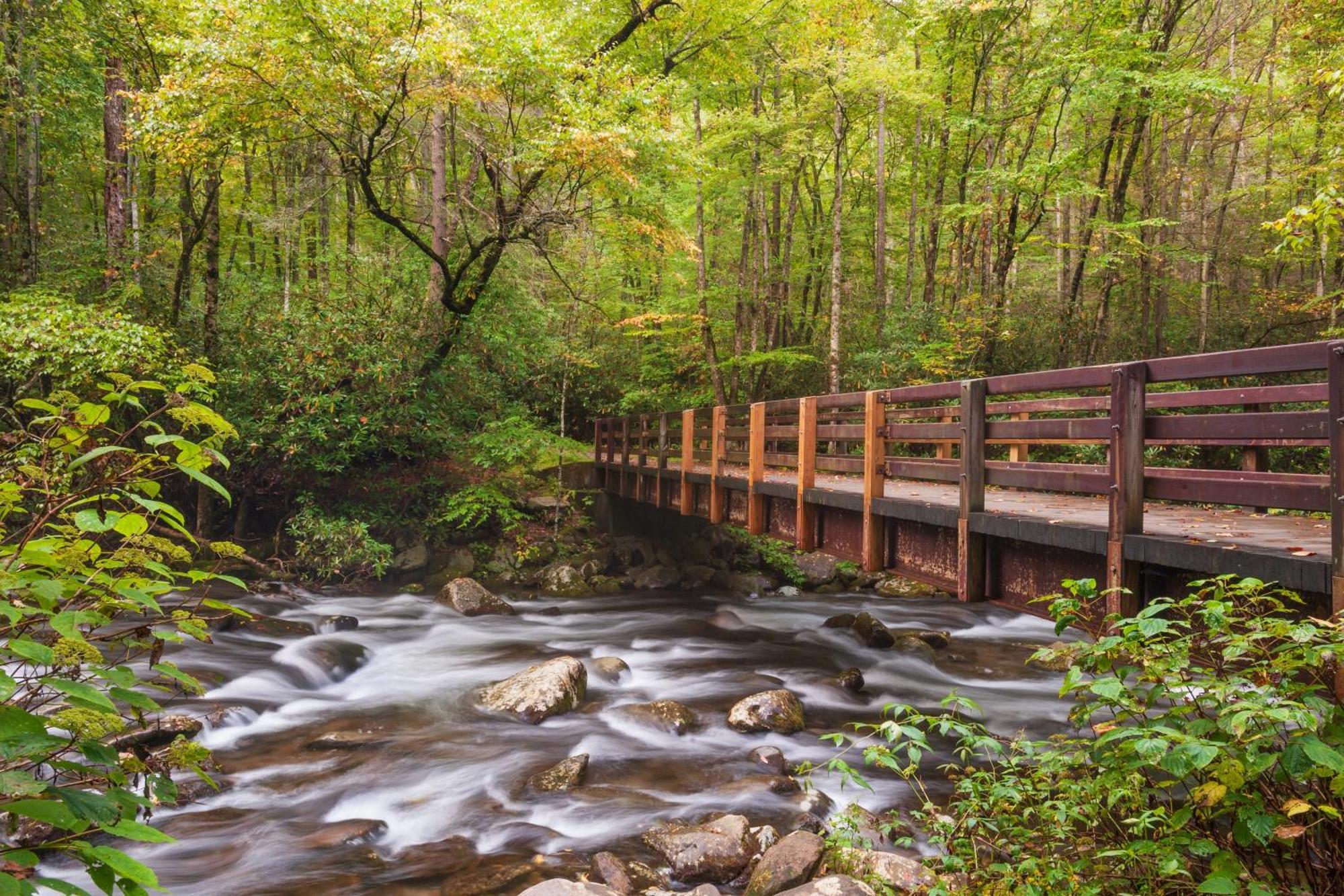 Bucky's Bungalow, Hot Tub, 1089 Of Free Attraction Tickets For Each Paid Day, Dollywood And More!