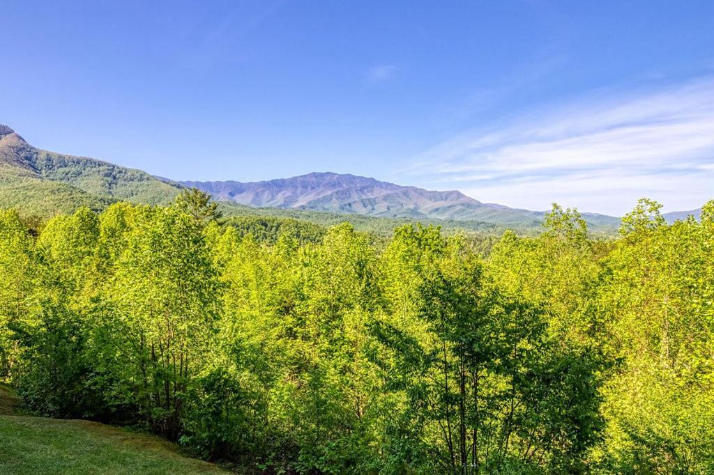 Holiday home Mountain Escape, Pool, 1089 Free Tickets Each Paid Day, Dollywood And More, Mountain Views Gatlinburg