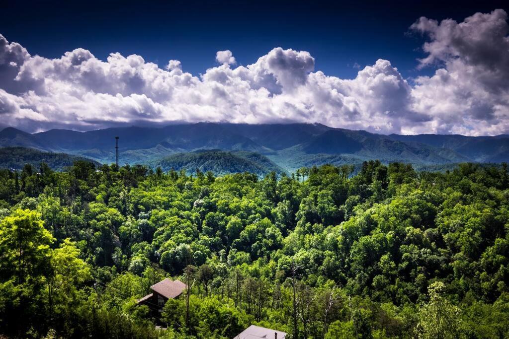 Mtview Close To Pkwy Slps 10 3bd-3ba Game *