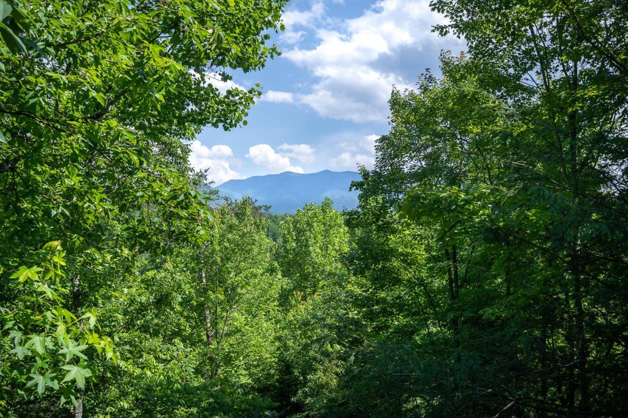Bear Essentials By Stony Brook Holiday home