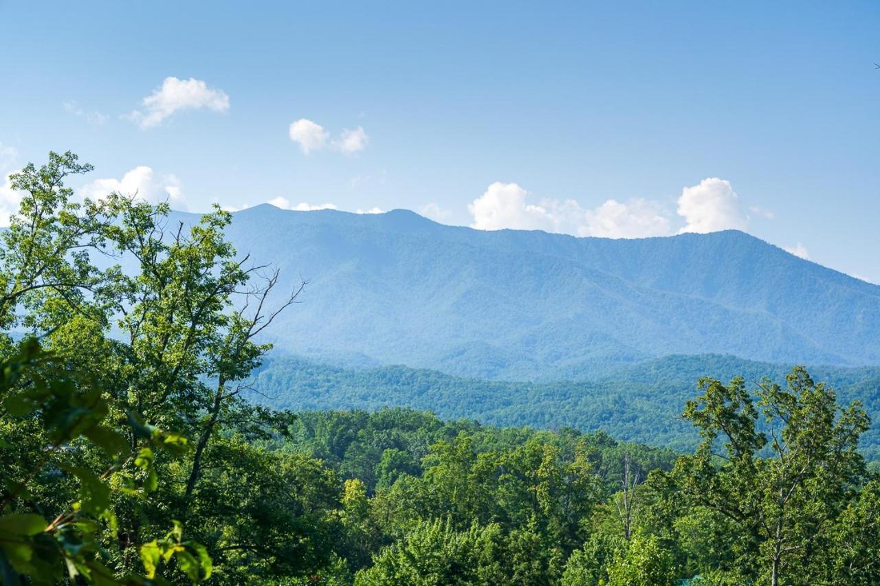 Another Day In Bearadise By Stony Brook * Gatlinburg