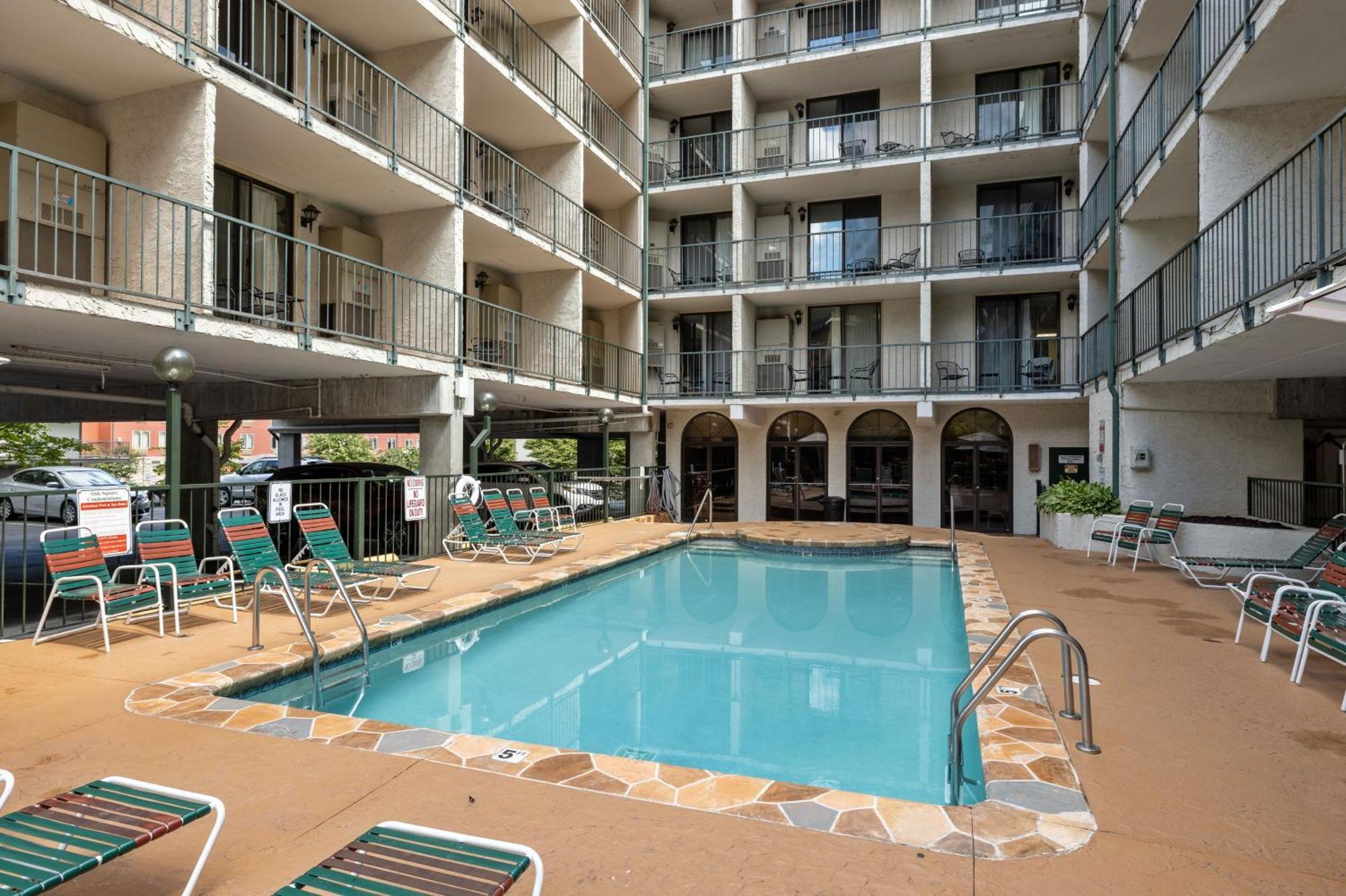 Beary Convenient Is A Newly Renovated King In The Heart Of With Pools Holiday home *