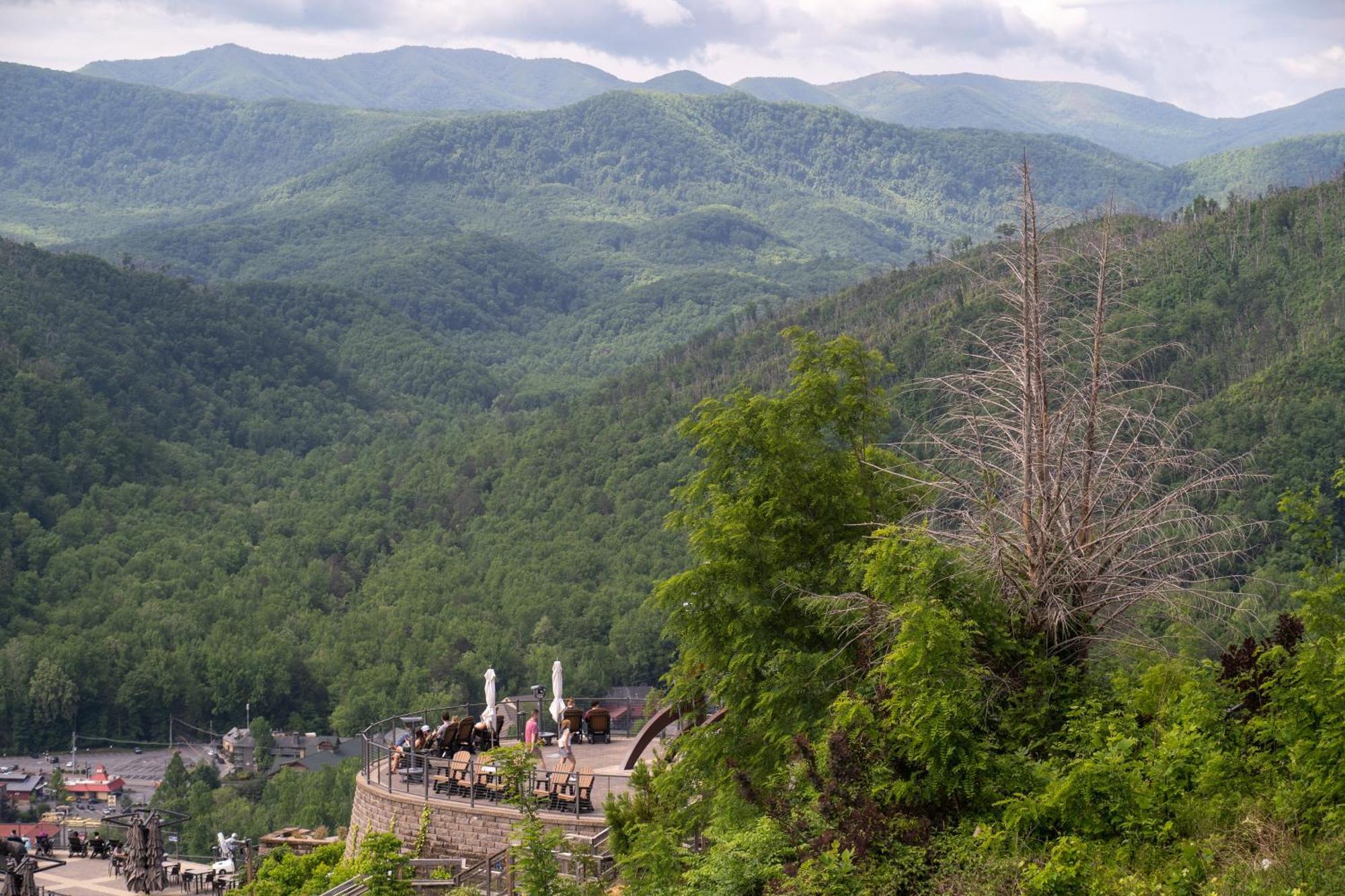Smoky Mountain High By Stony Brook Holiday home