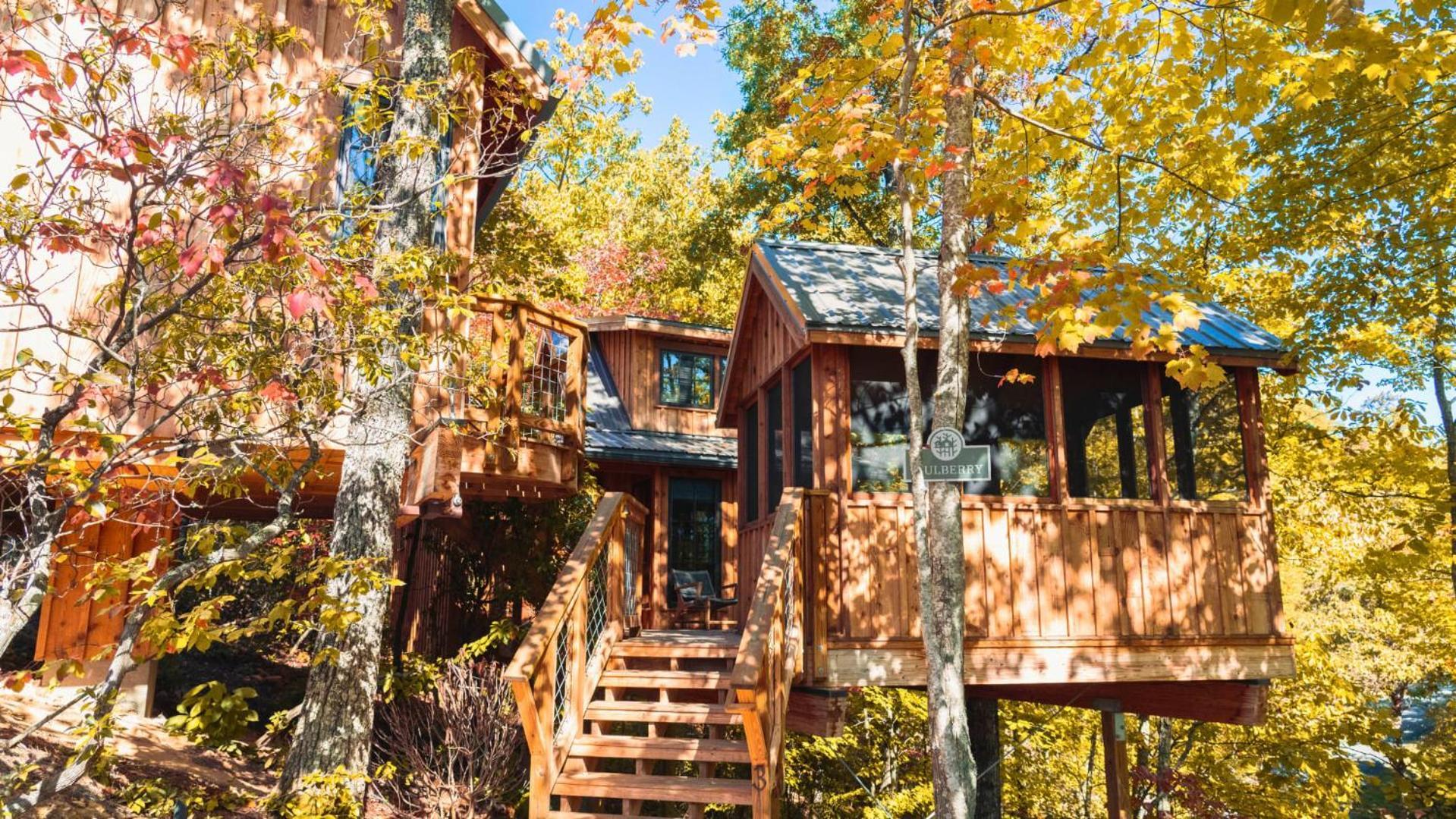 The Mulberry In Treehouse Grove At Norton Creek Holiday home