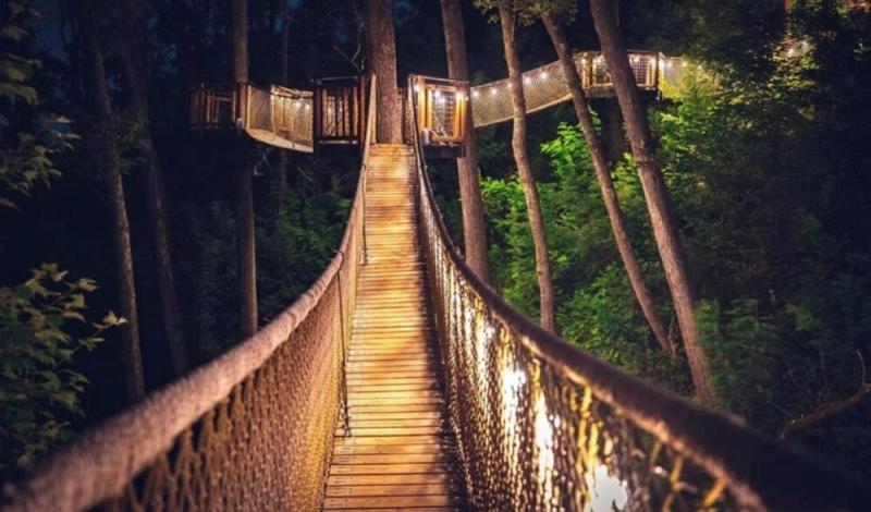 Creekside Glamping Resort- Pool, Fishing Pond, Mini Golf, Game Room, Pet Friendly * Gatlinburg