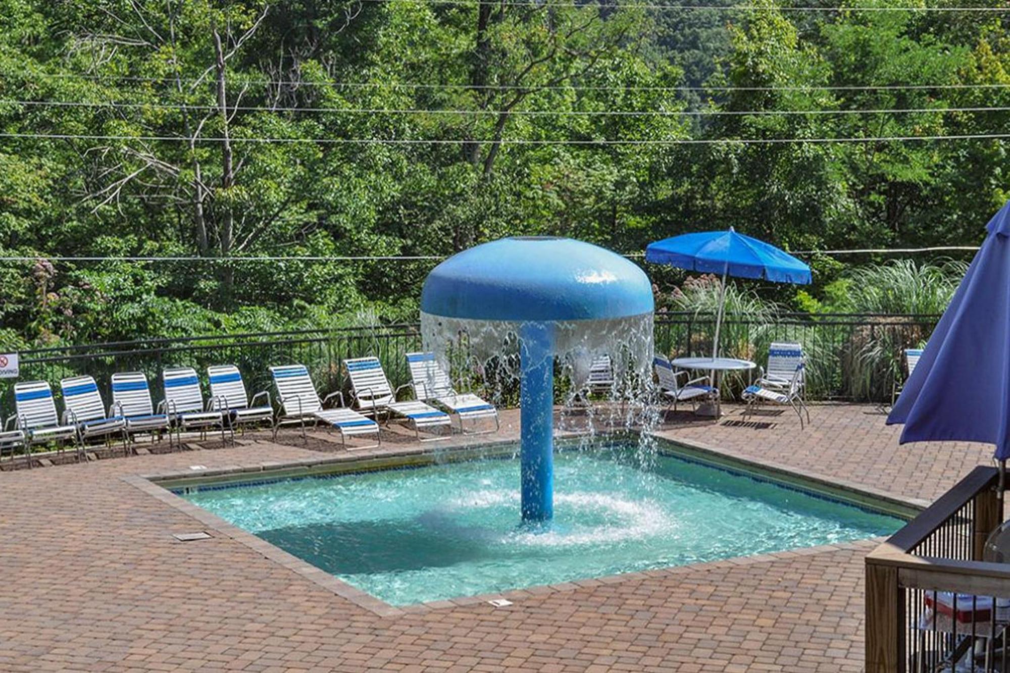 Beartastic Mountain View Villa *
