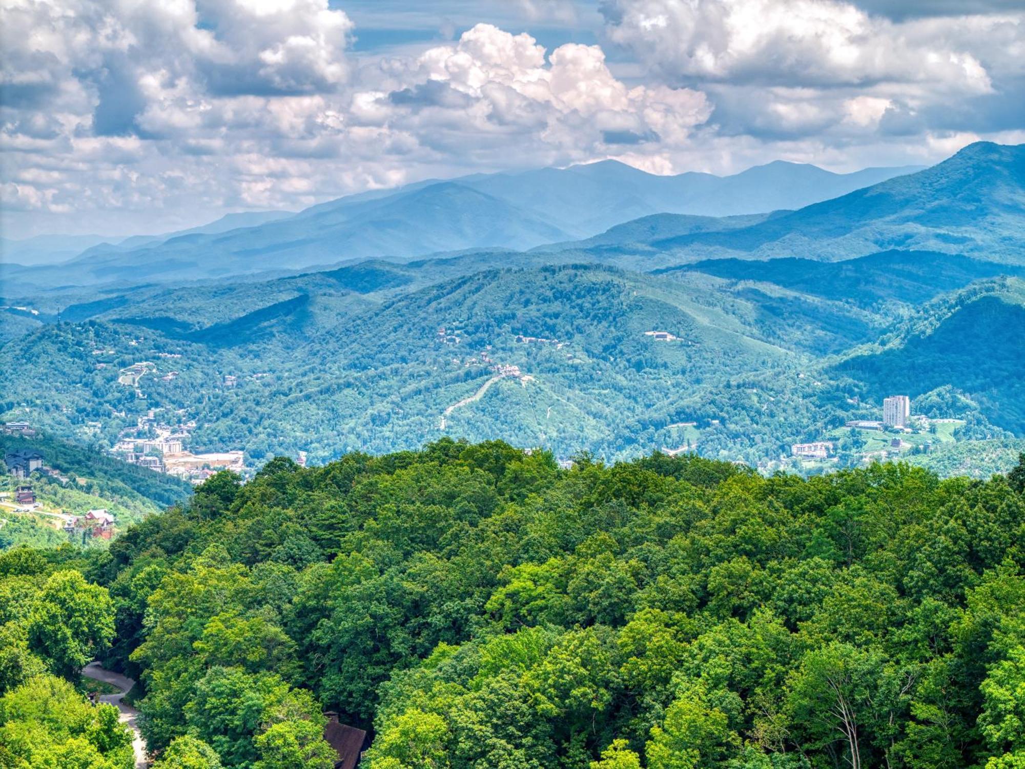 Cubby Bear, Hot Tub, Pool, 1089 Free Attraction Tickets Each Paid Day, Dollywood And More!