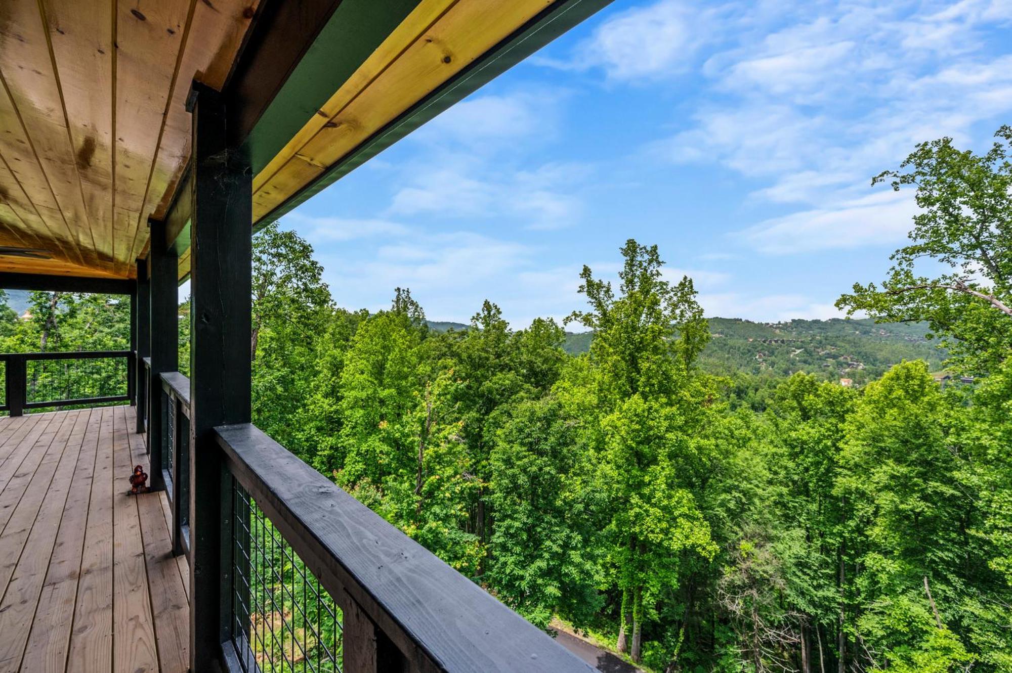 Smoky Bear Vista Brand New Luxury One Mile From Downtown Holiday home *