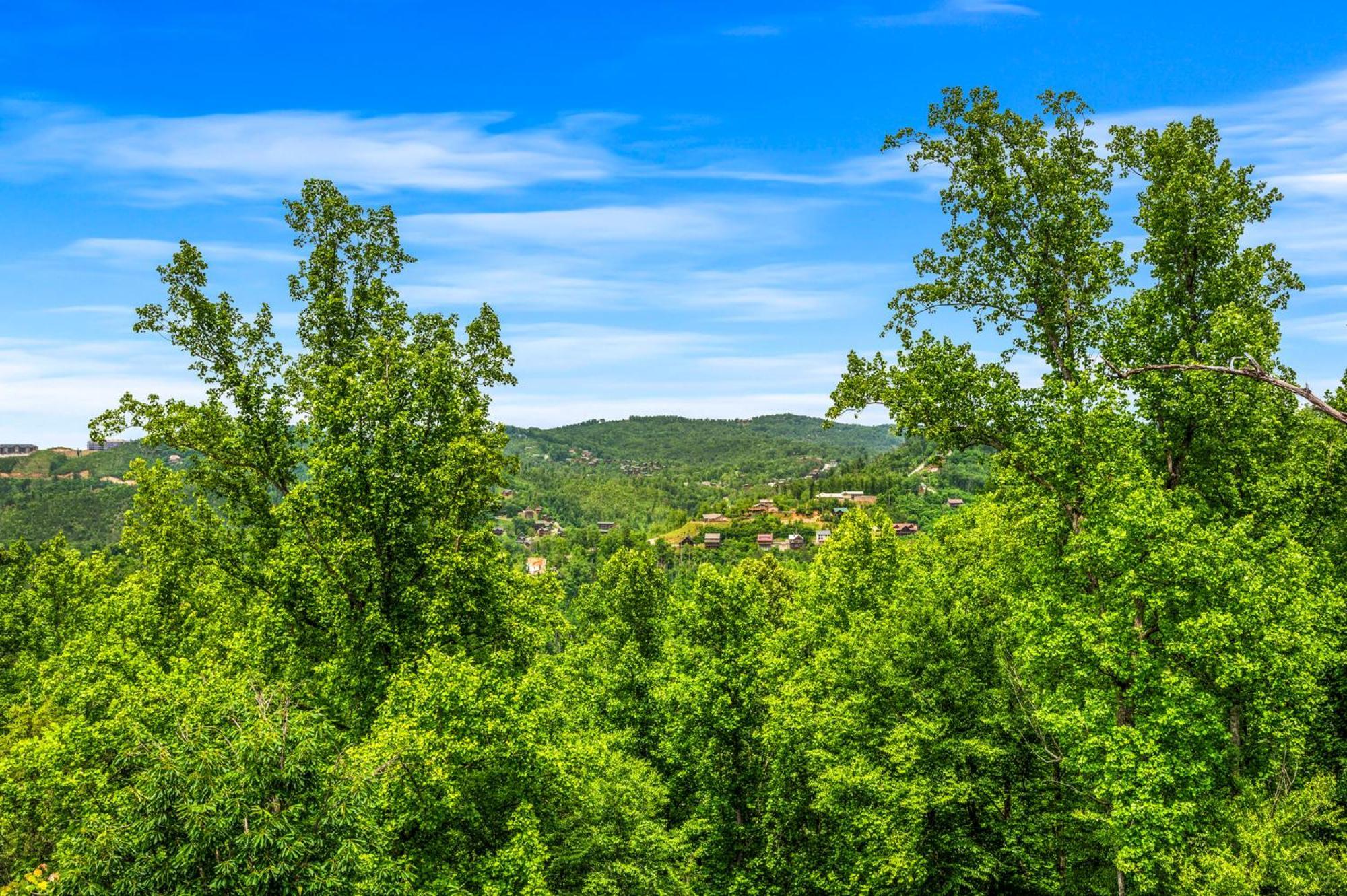 Holiday home Smoky Bear Vista Brand New Luxury One Mile From Downtown