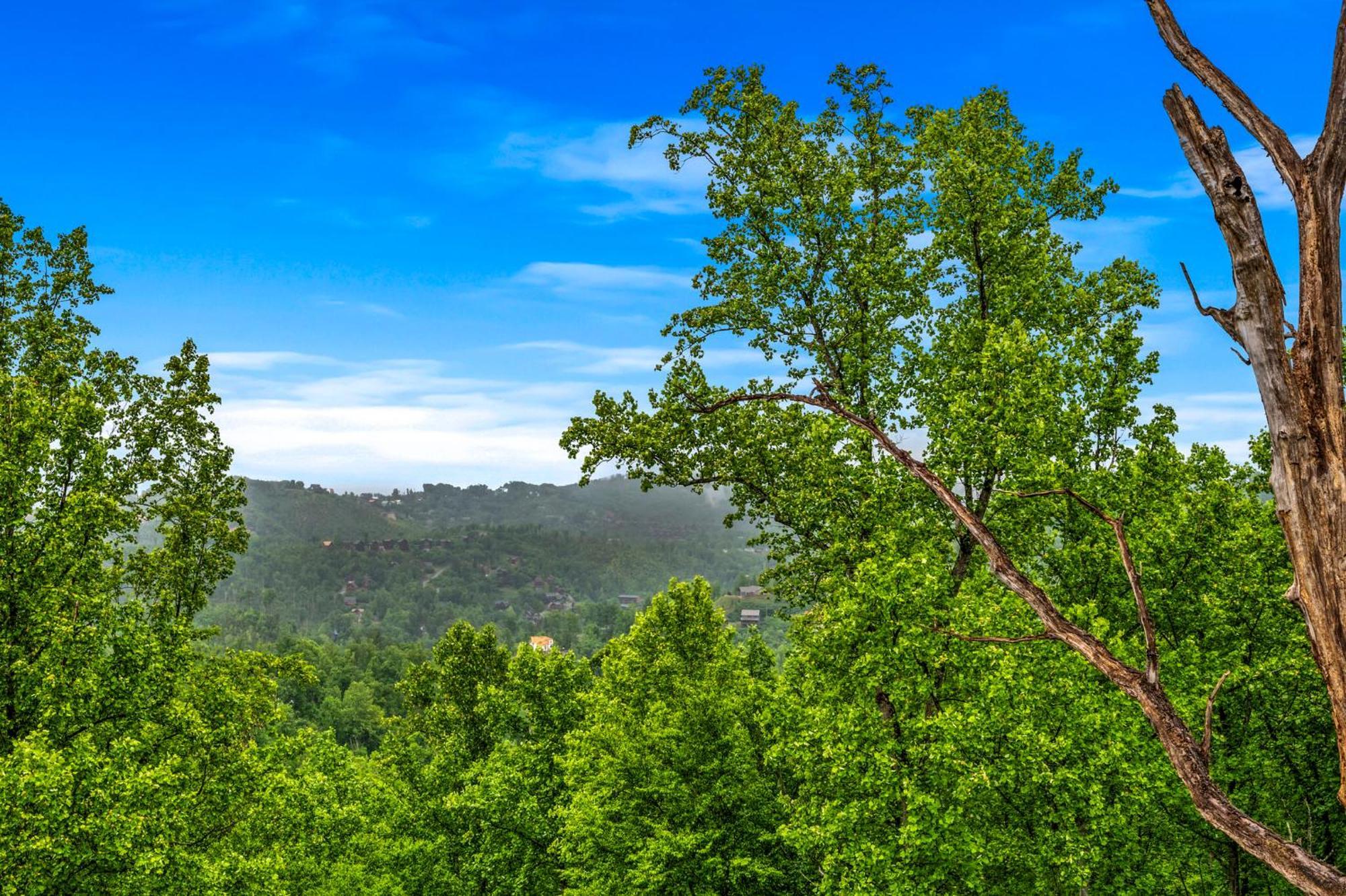 Holiday home Smoky Bear Vista Brand New Luxury One Mile From Downtown Gatlinburg