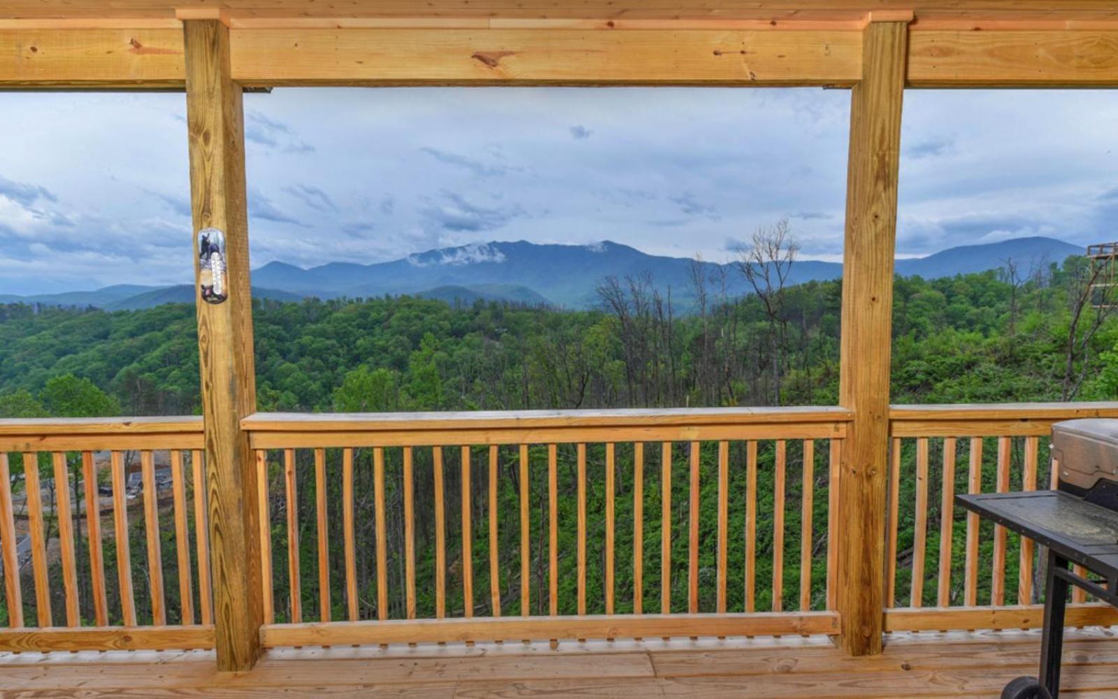 Beartastic Mountain View Villa *
