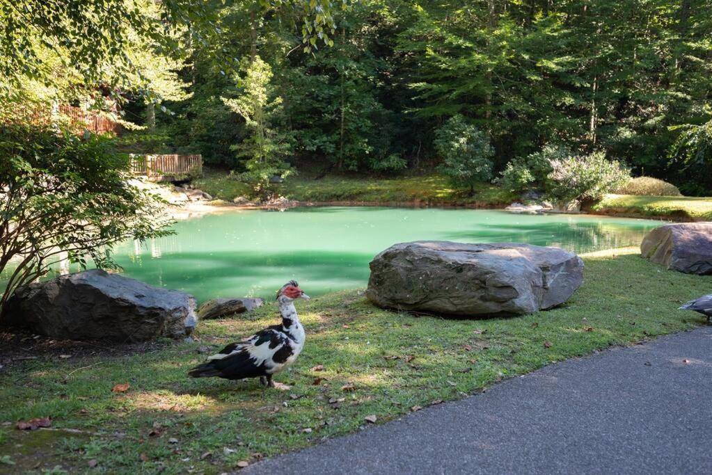 Gray Fox Den Theater & Arcade, Hot Tub, Views Holiday home