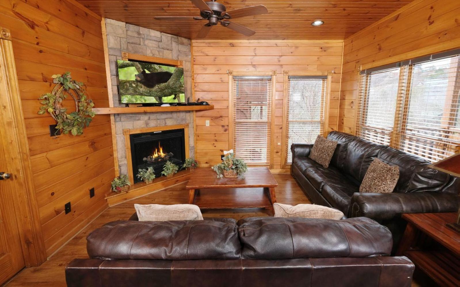 Mountain Getaway And A Theater
