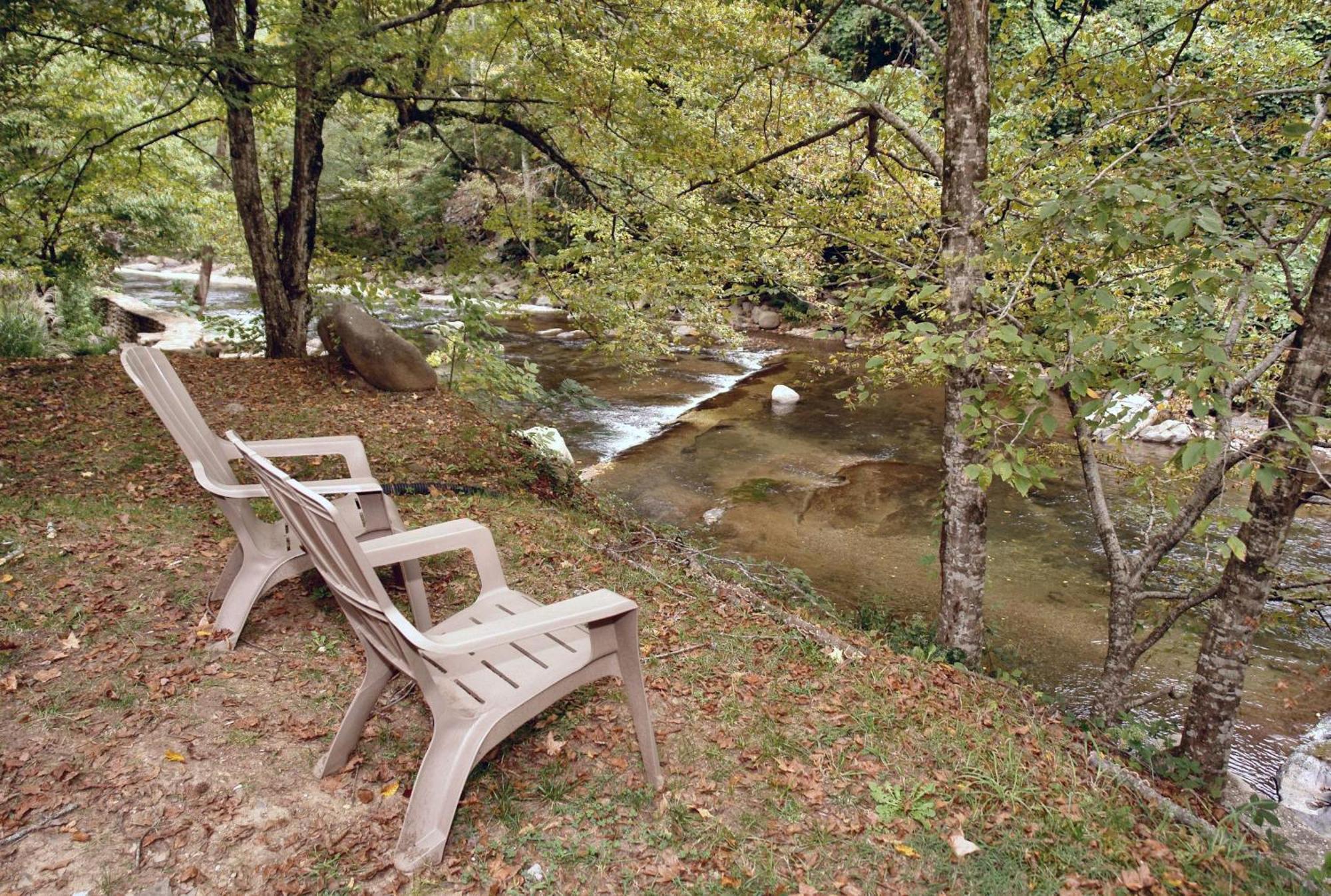 River Dream #466 *