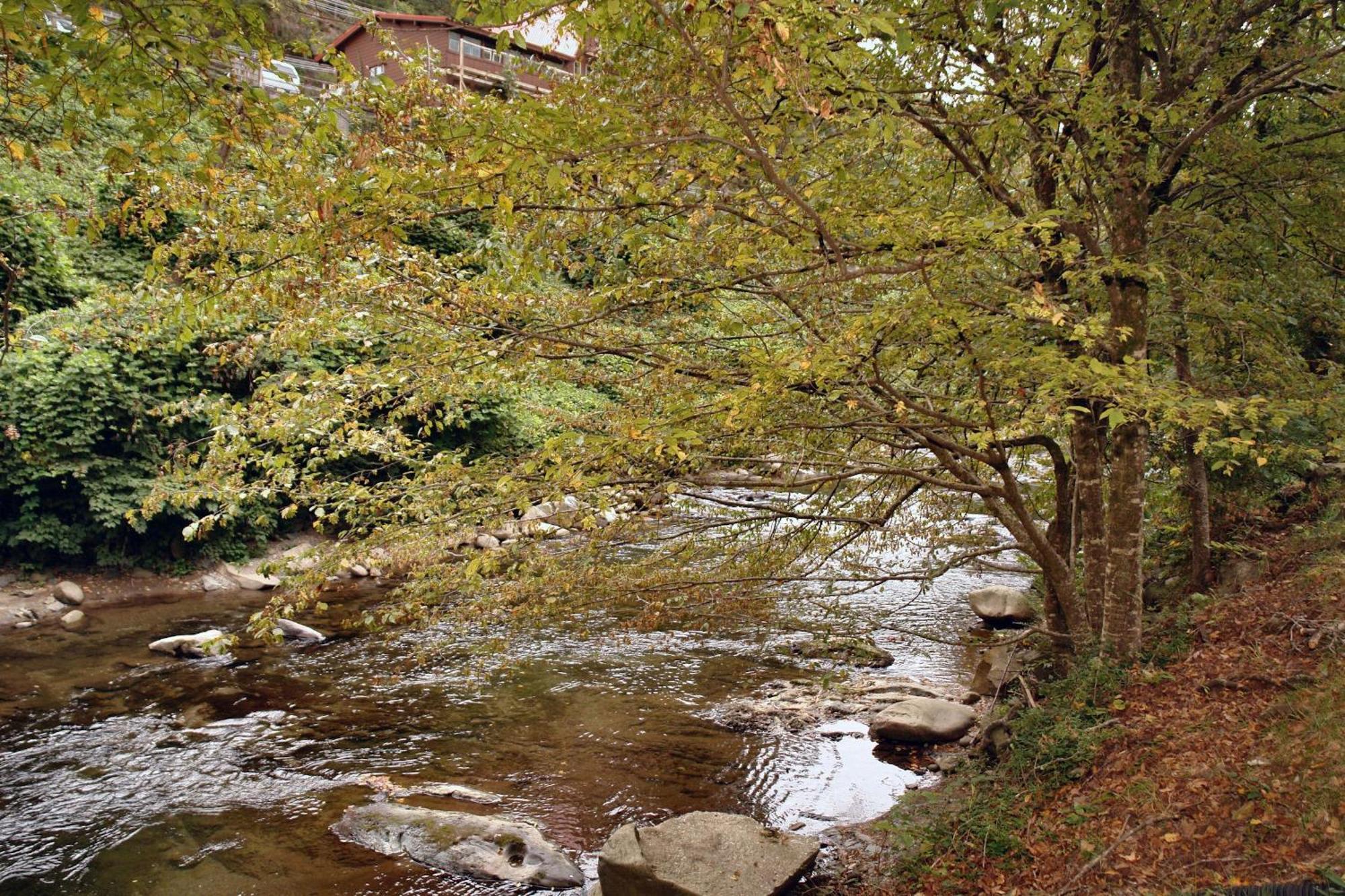 River Dream #466 Holiday home Gatlinburg
