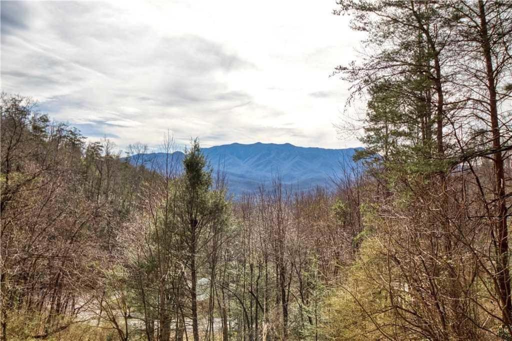 Eagle View 2 #820 Holiday home Gatlinburg