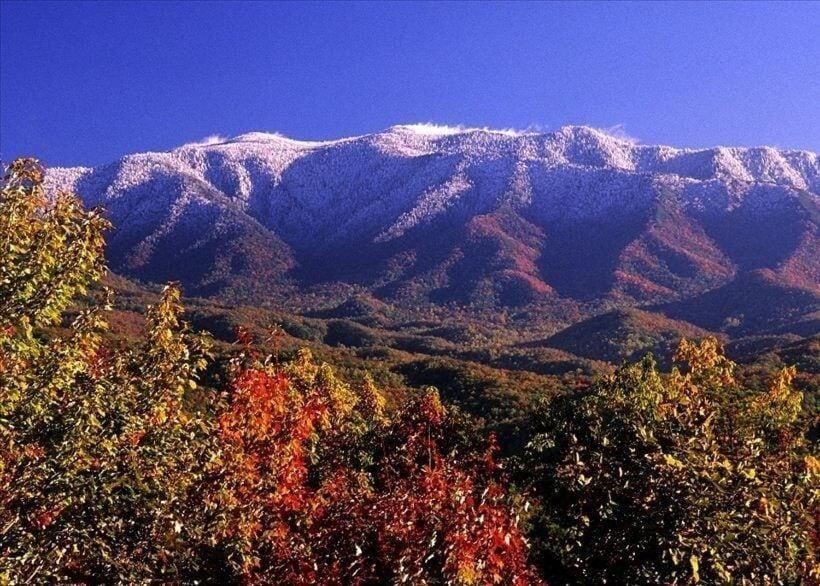 Fever #750 Holiday home Gatlinburg