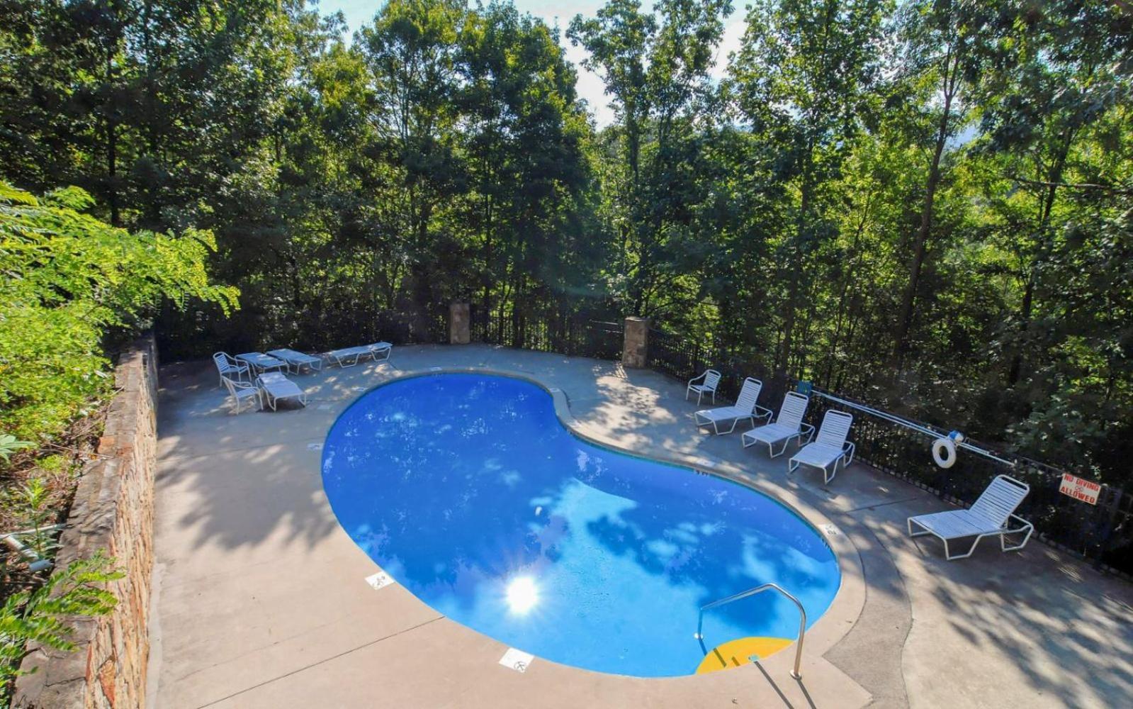 Villa Black Bear Getaway