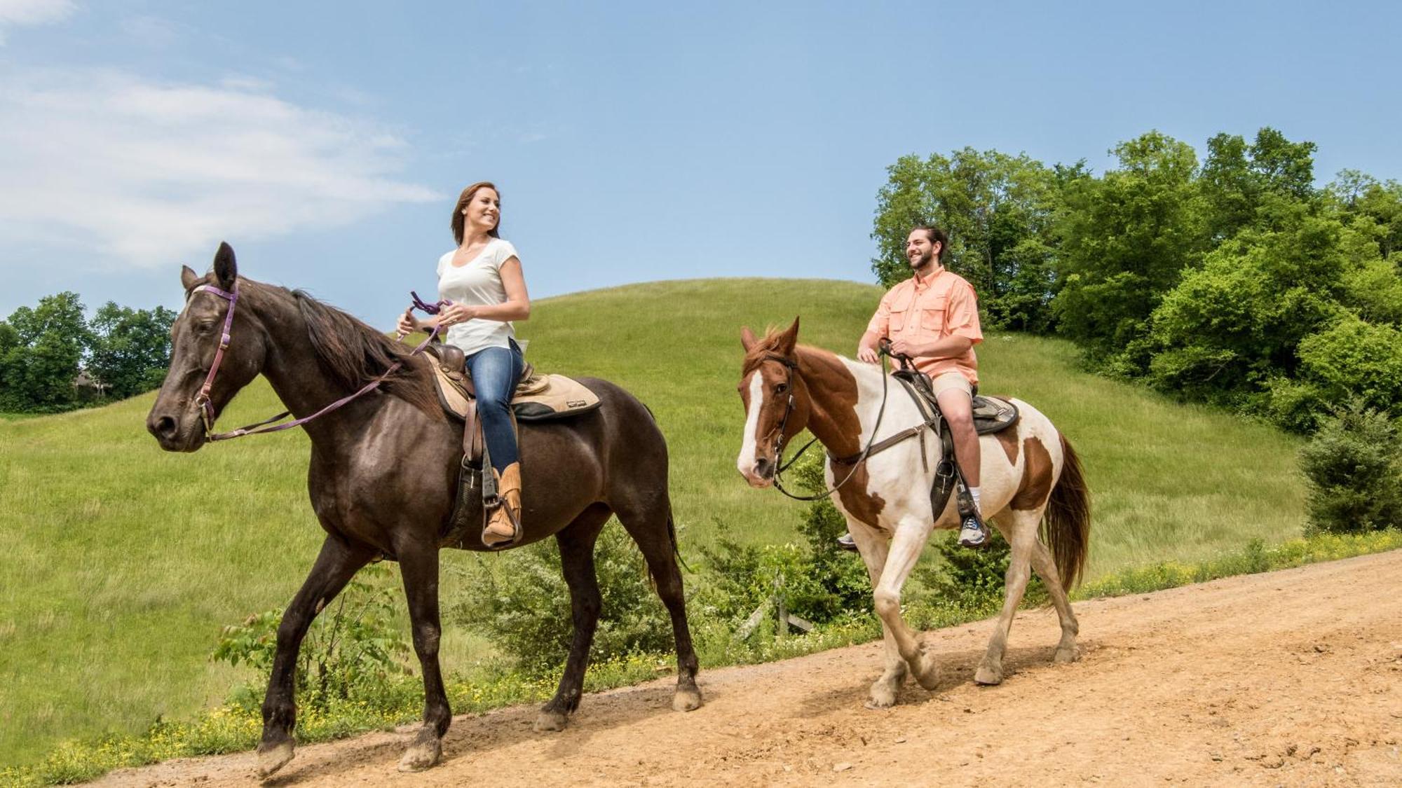 A Breath Of Fresh Air By Eden Crest Gatlinburg